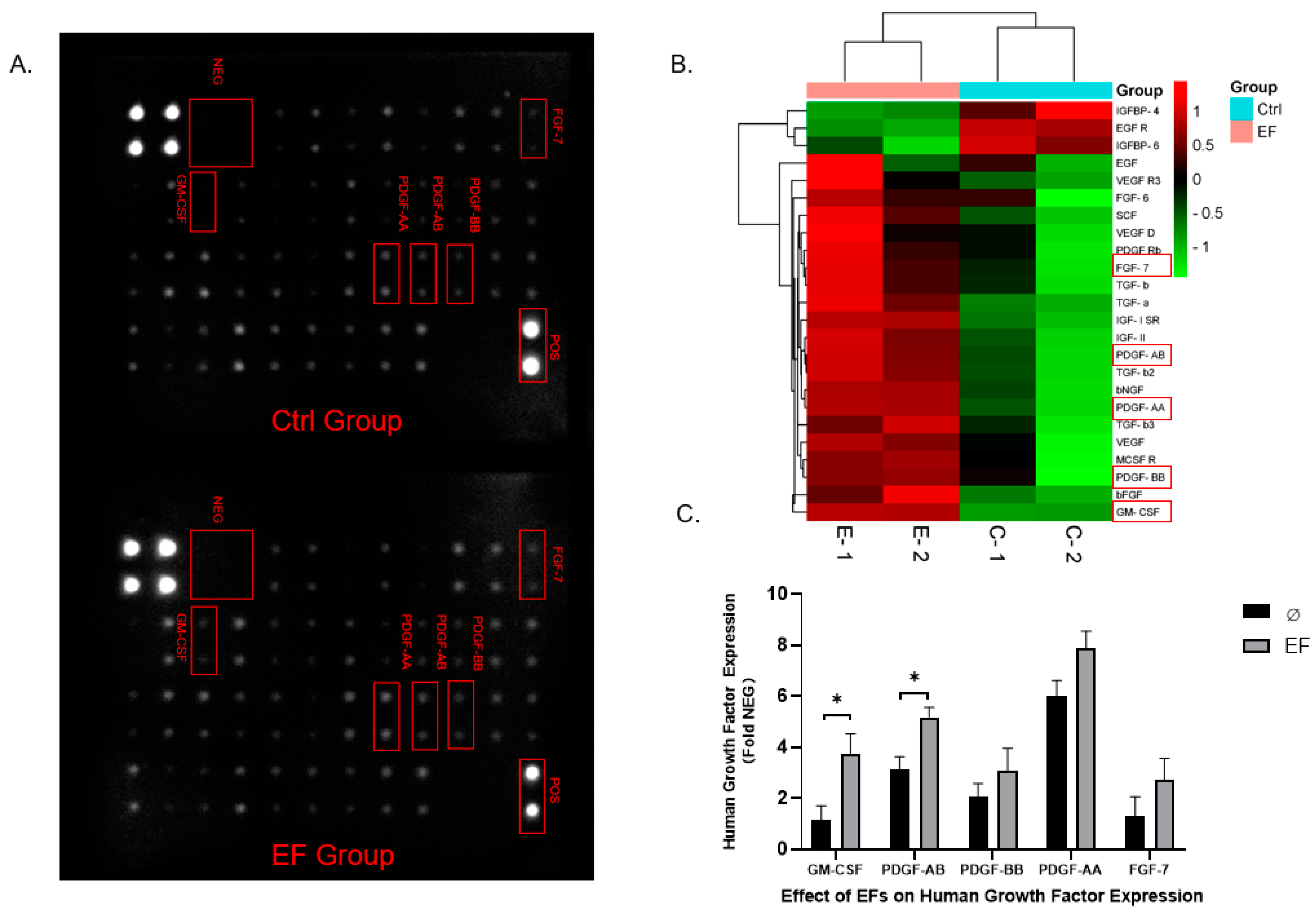 Life 11 01195 g005 Life 11 01195 g005