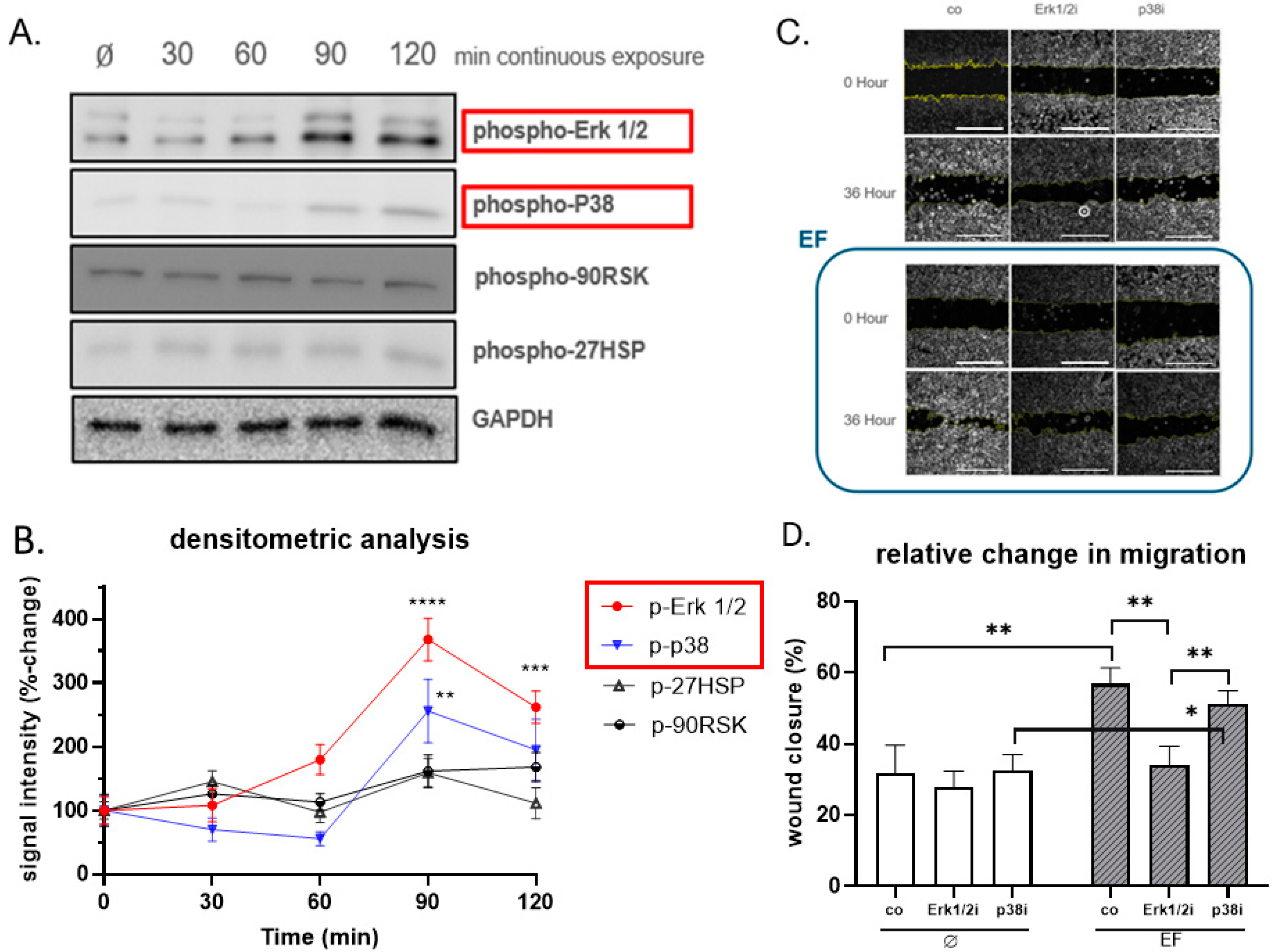 Life 11 01195 g006 Life 11 01195 g006