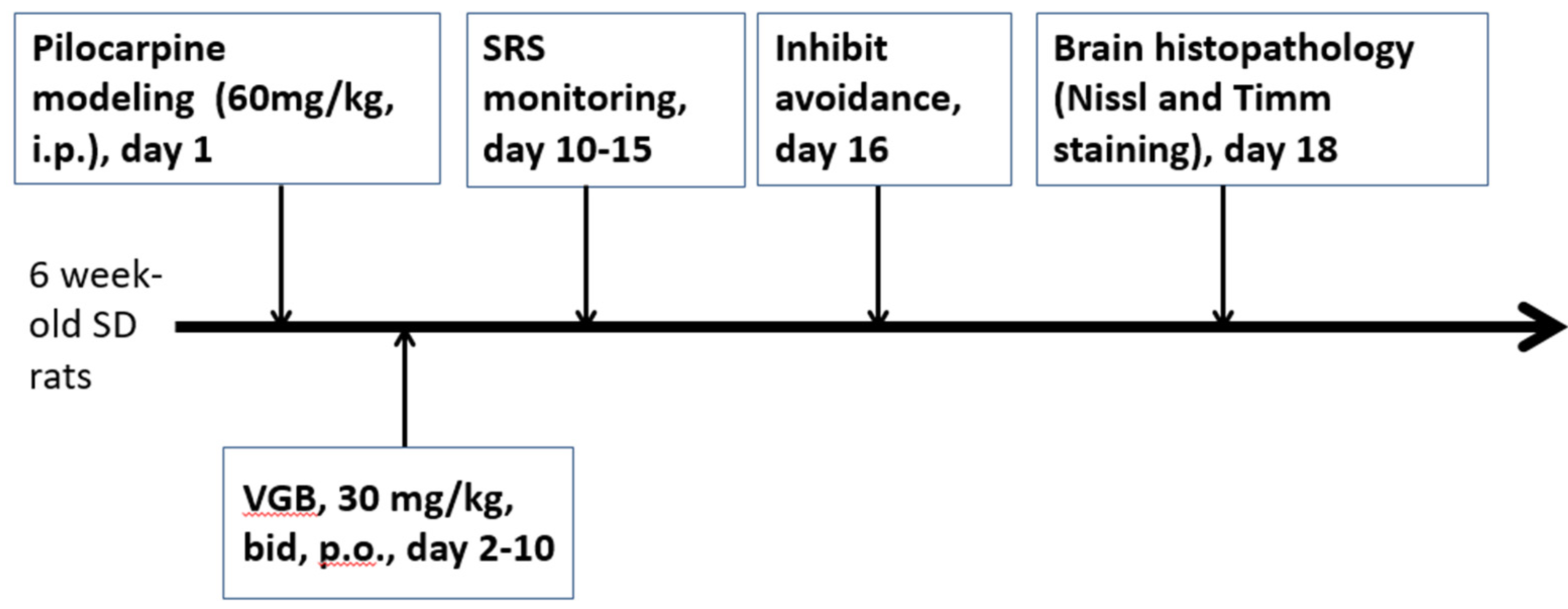 Life 11 01213 g001 Life 11 01213 g001