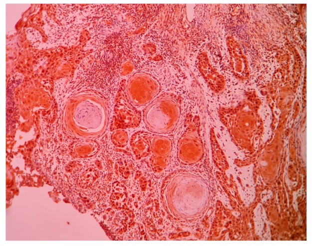 Life 11 01218 g001 550