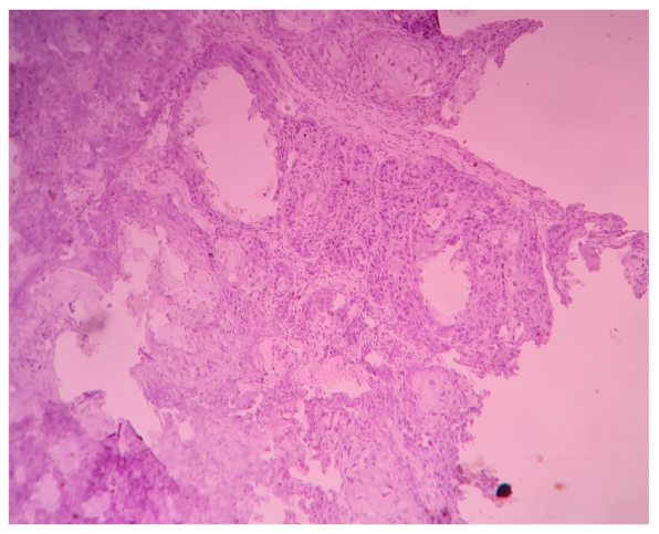 Life 11 01218 g002 550