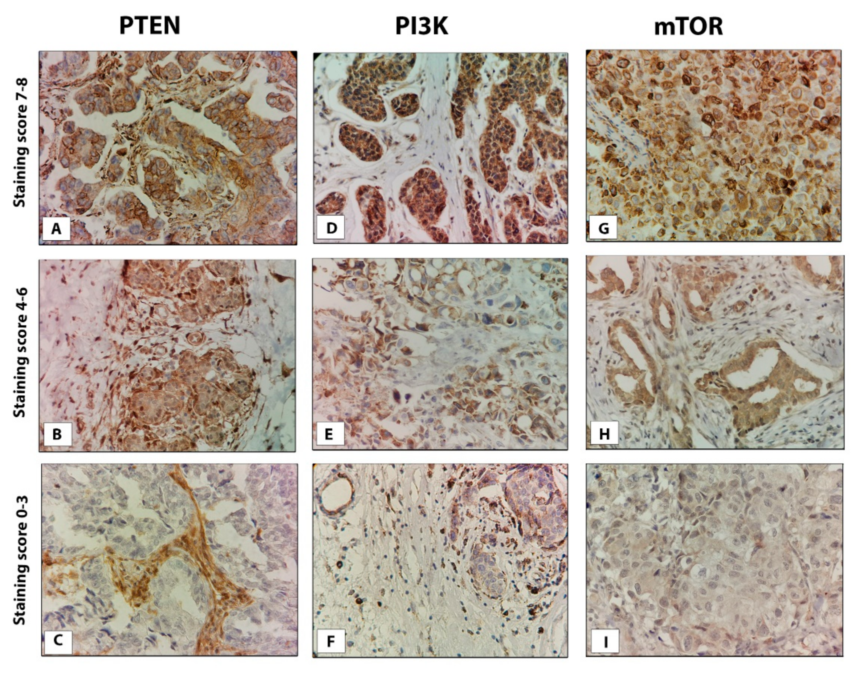 Life 11 01247 g001 550