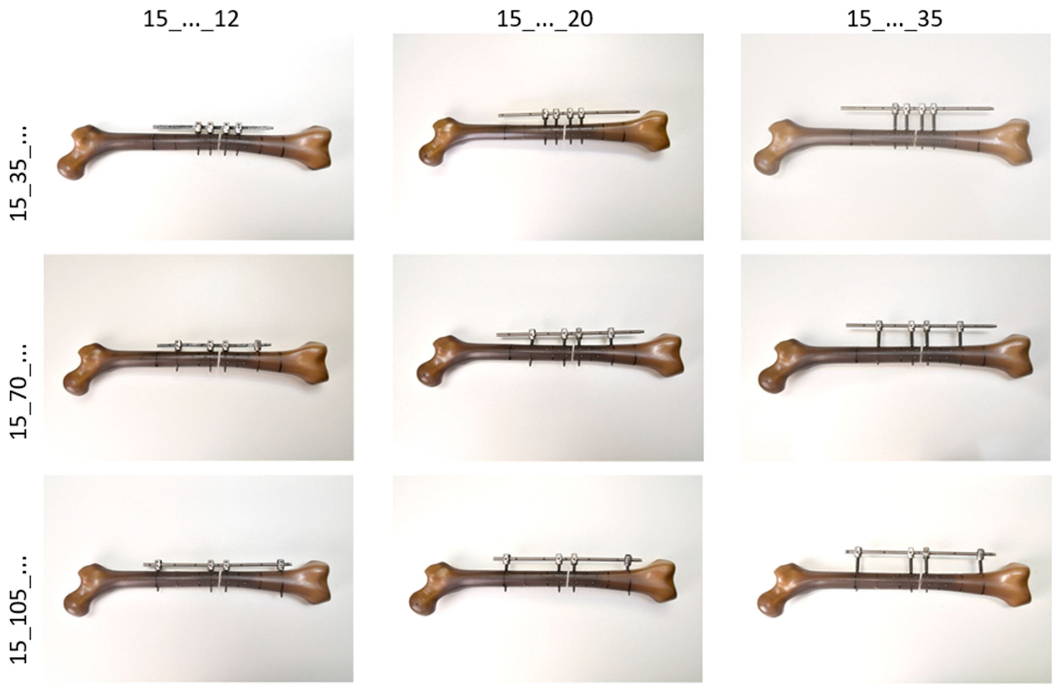 Life 11 01254 g001 550