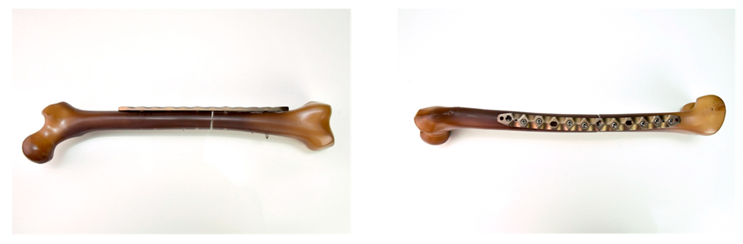 Life 11 01254 g002 550