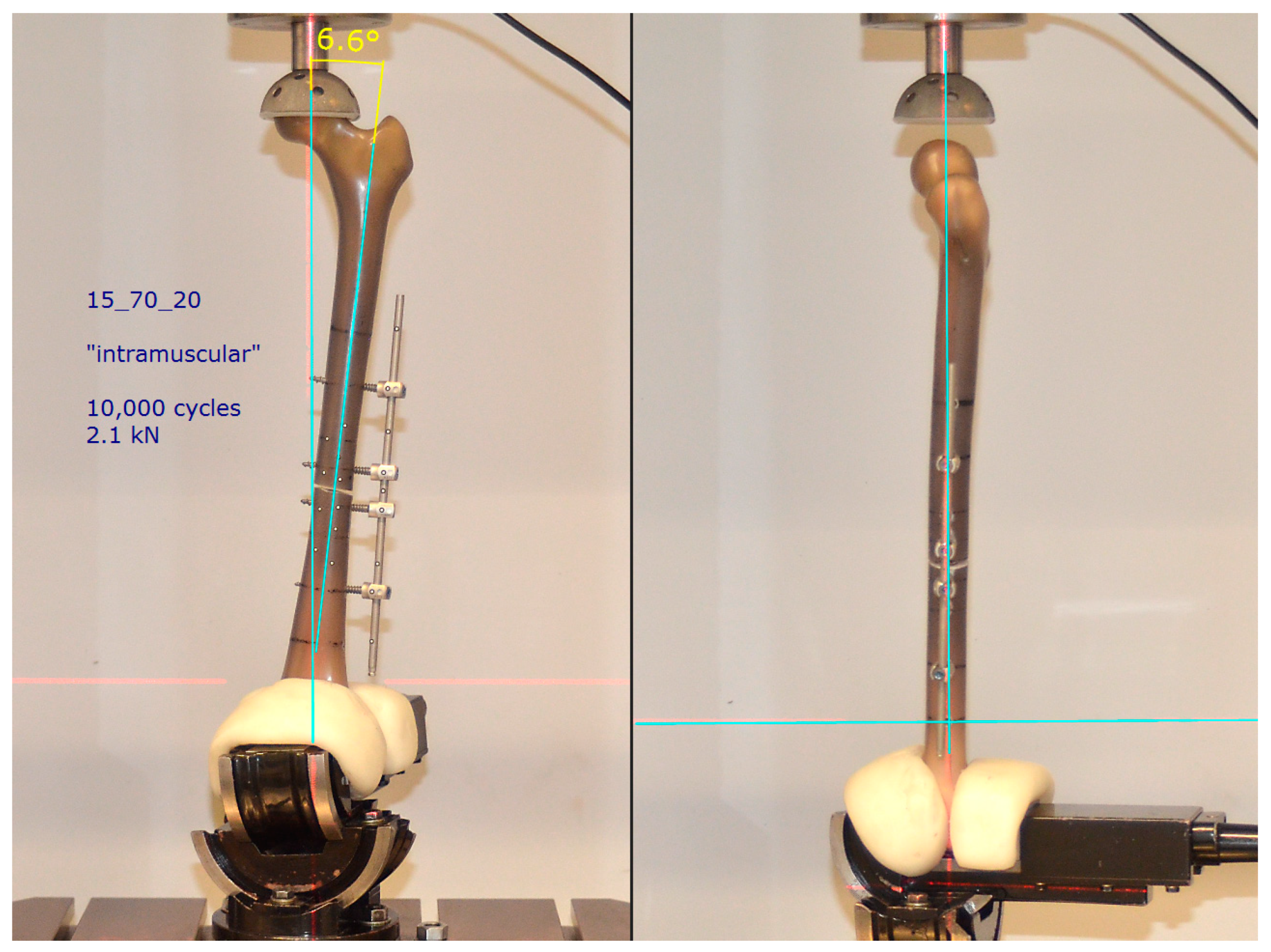 Life 11 01254 g003 550