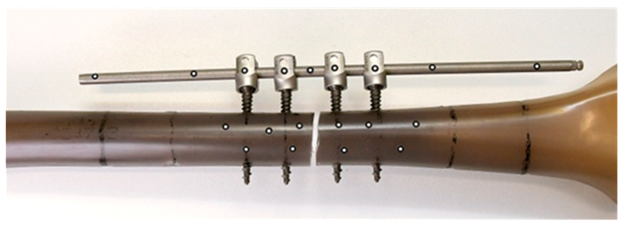 Life 11 01254 g004 550