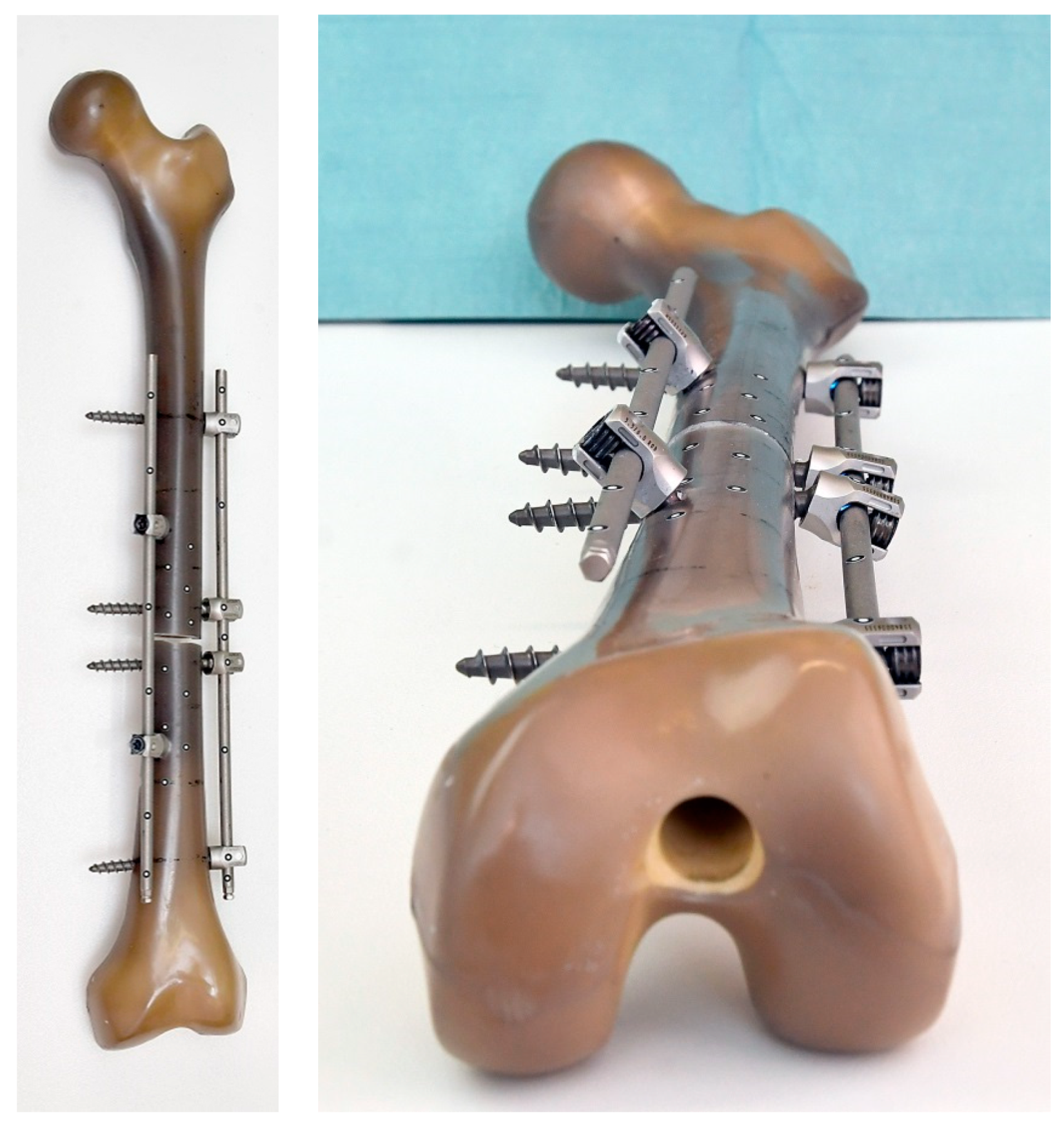 Life 11 01254 g007 550