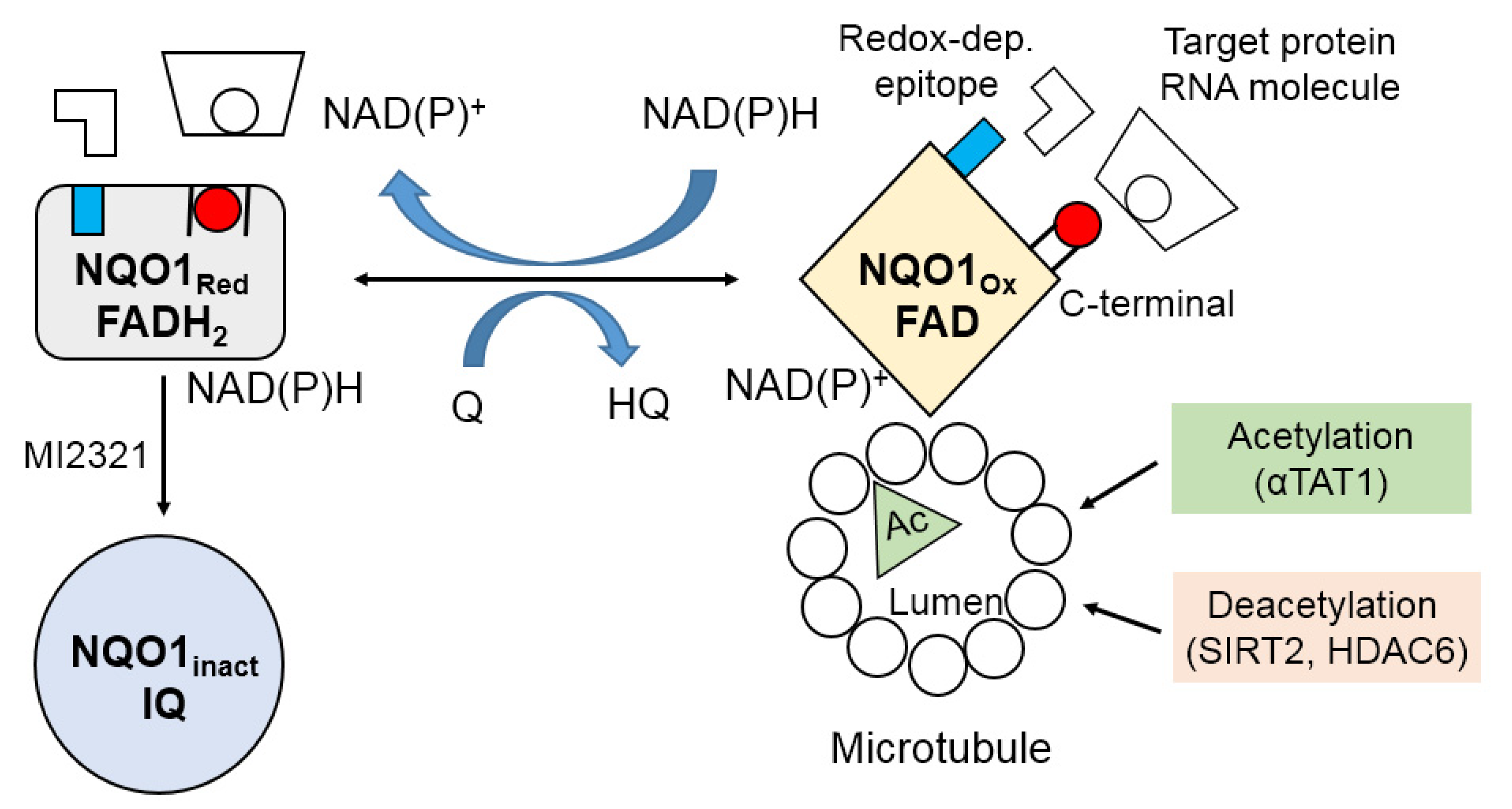 Life 11 01301 g003 Life 11 01301 g003