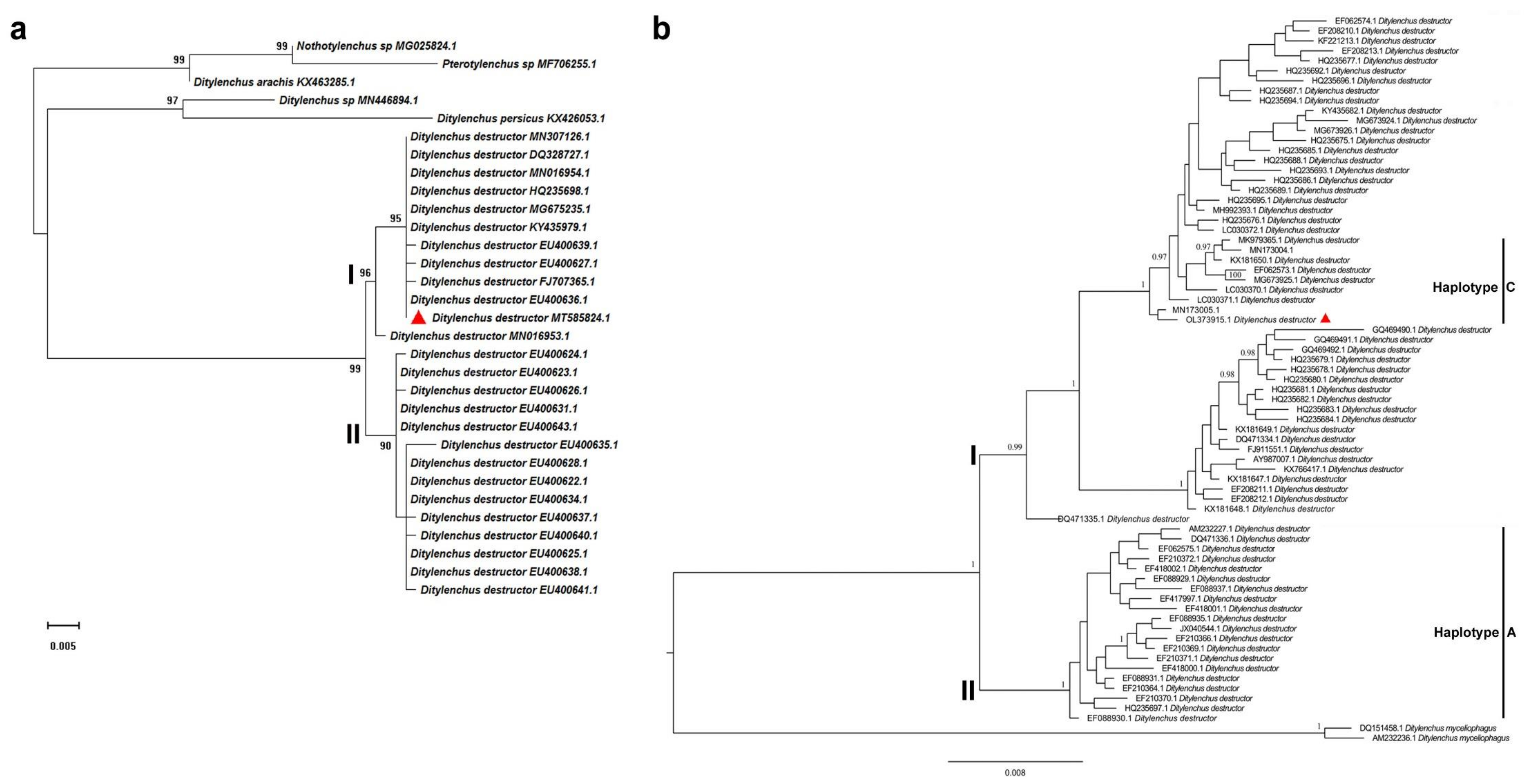 Life 11 01303 g003 550