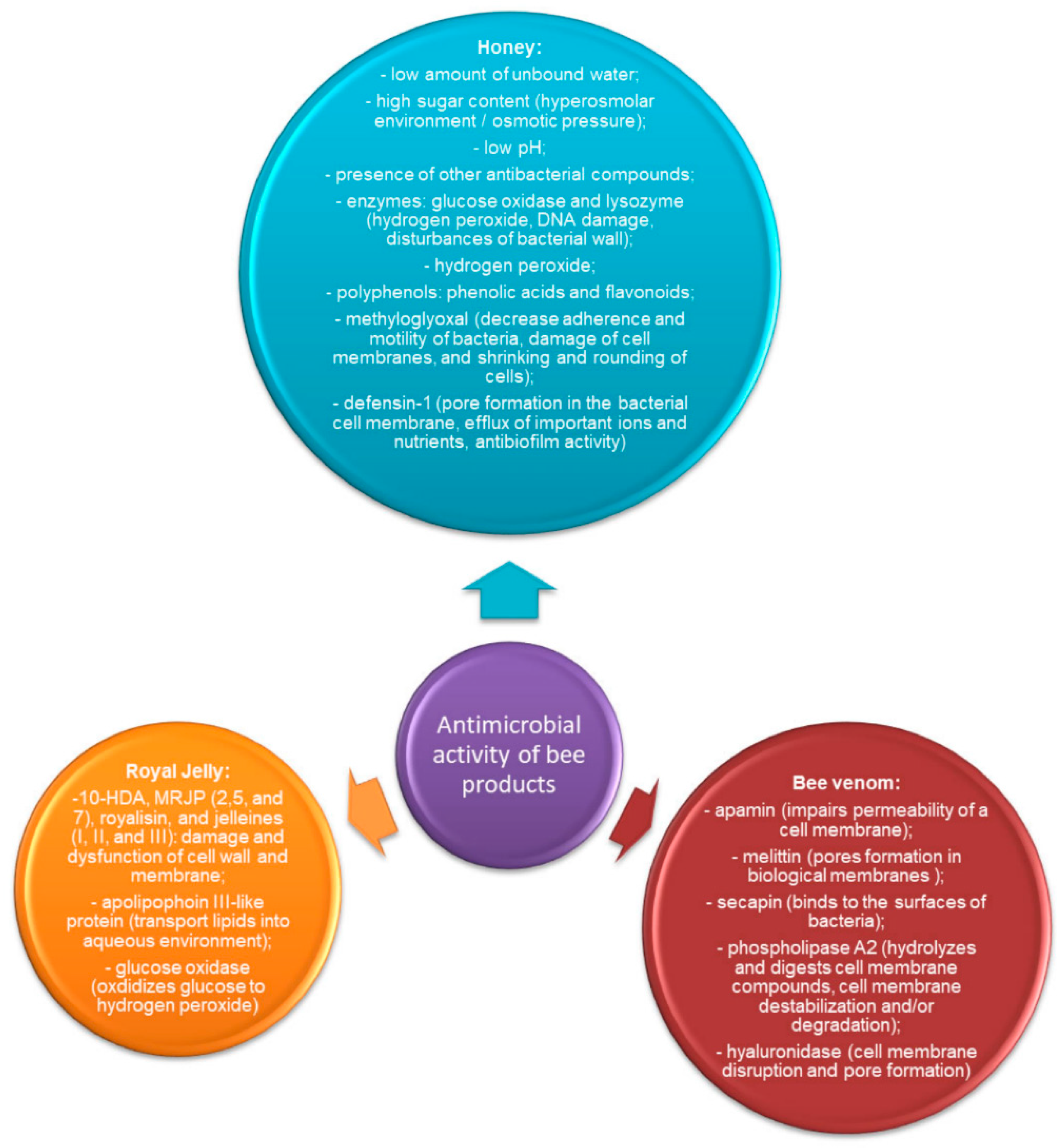 Life 11 01311 g002 550