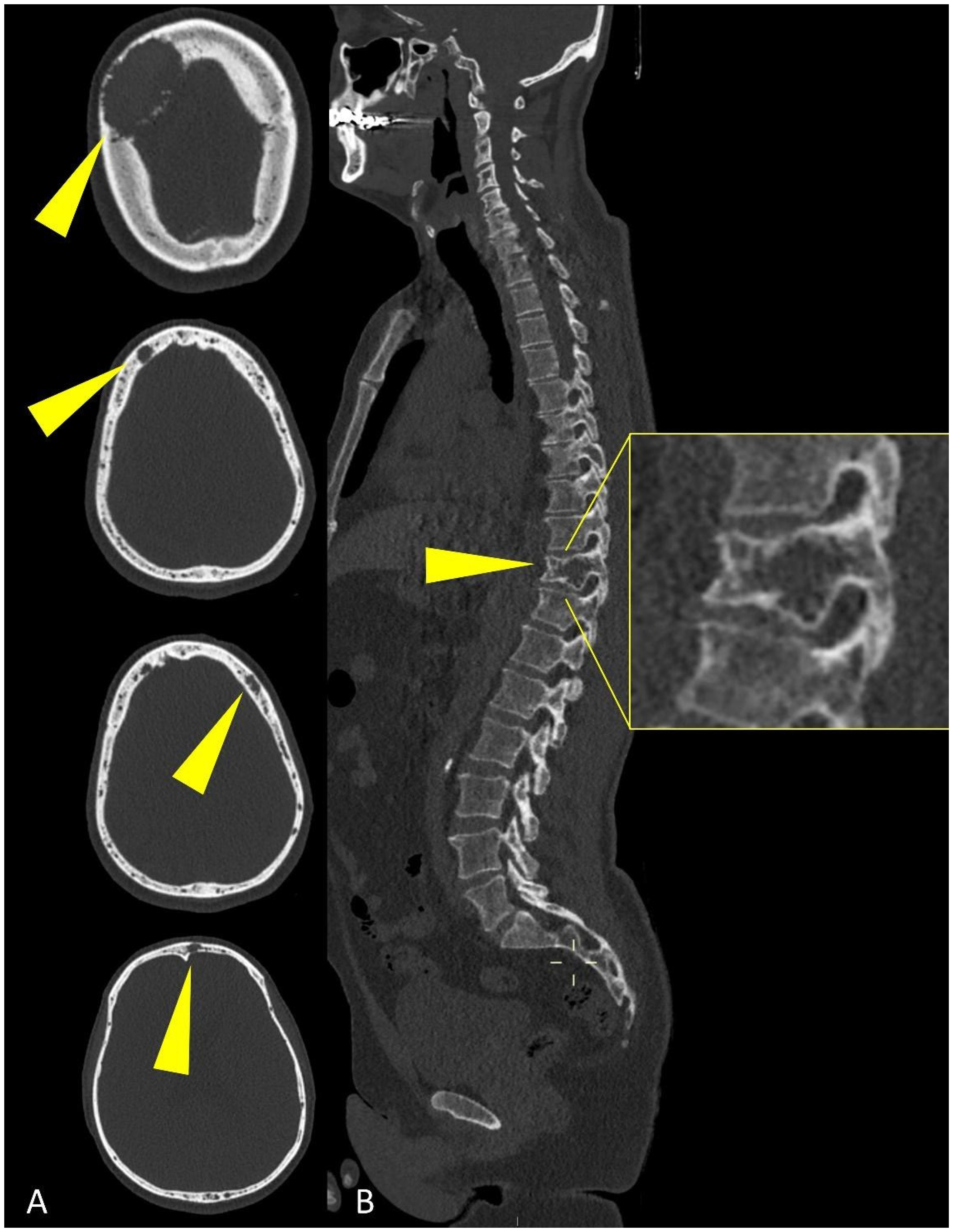 Life 11 01320 g003 550