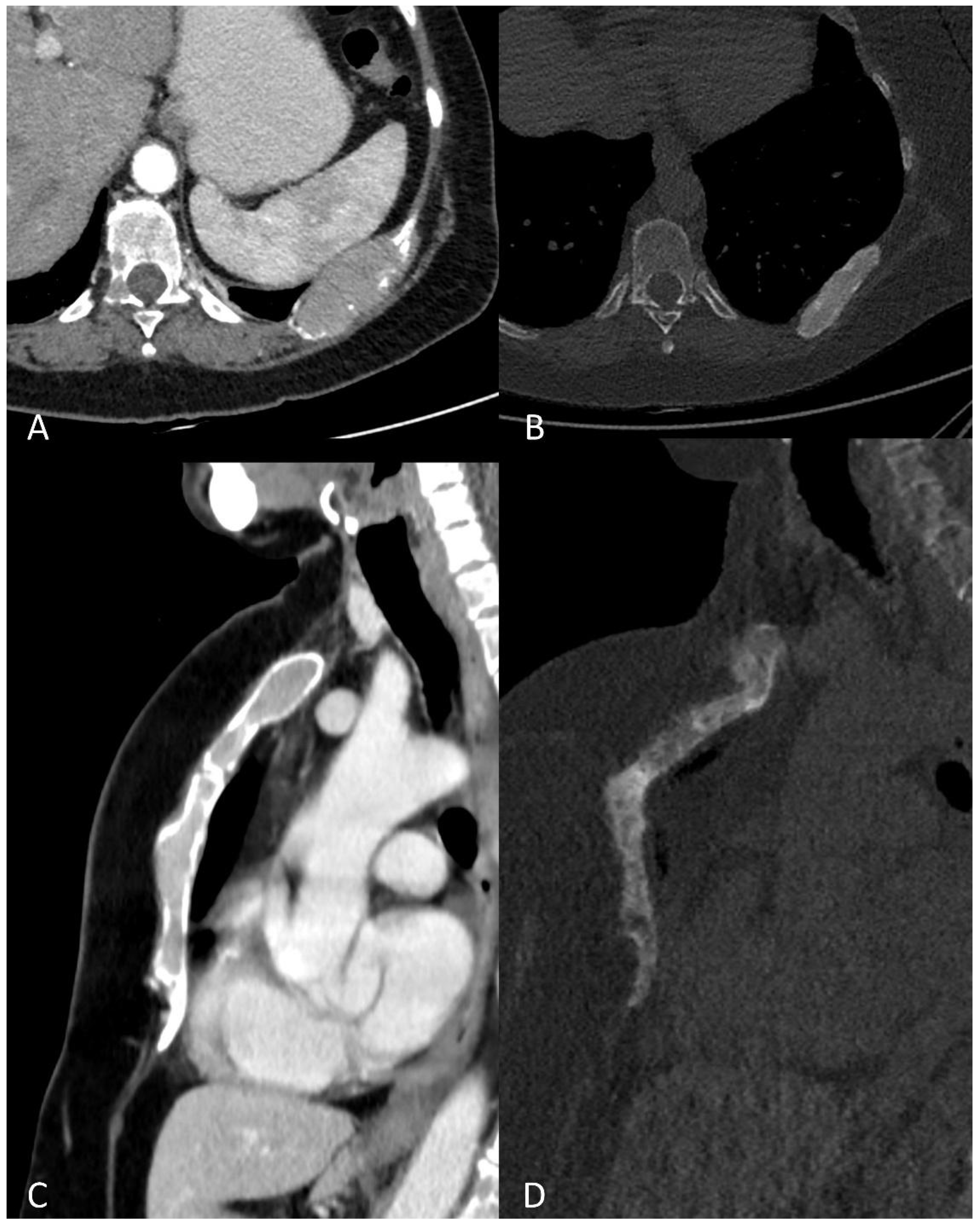 Life 11 01320 g006 550