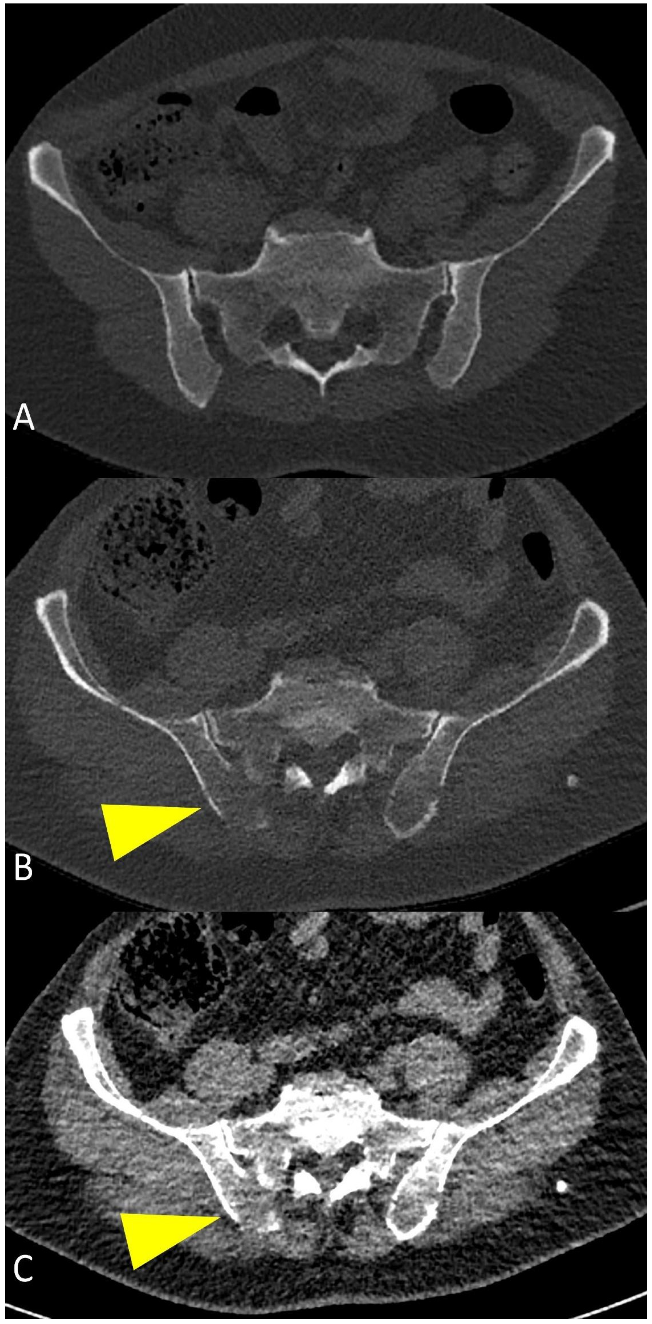 Life 11 01320 g010 550