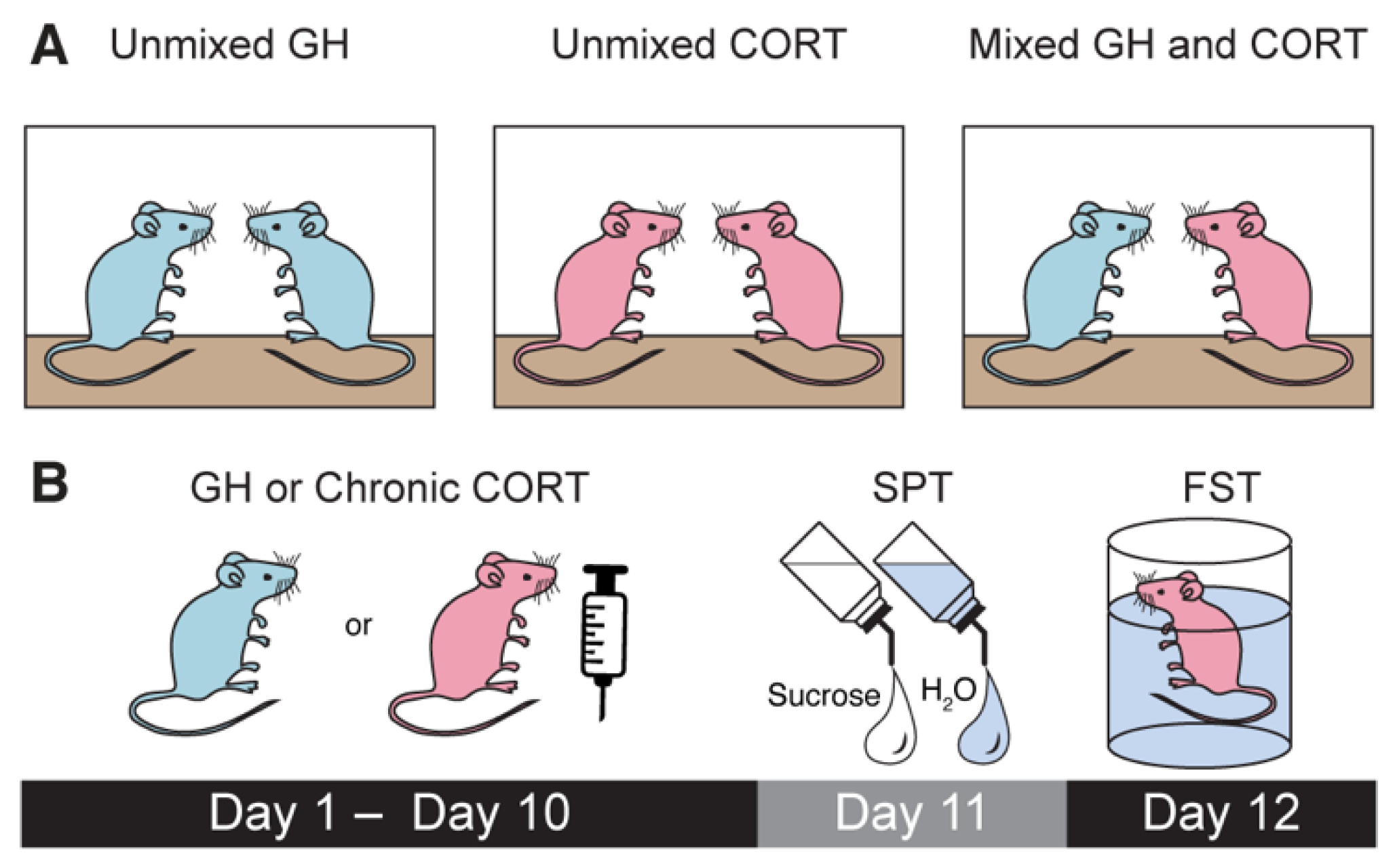 Life 11 01327 g001 550