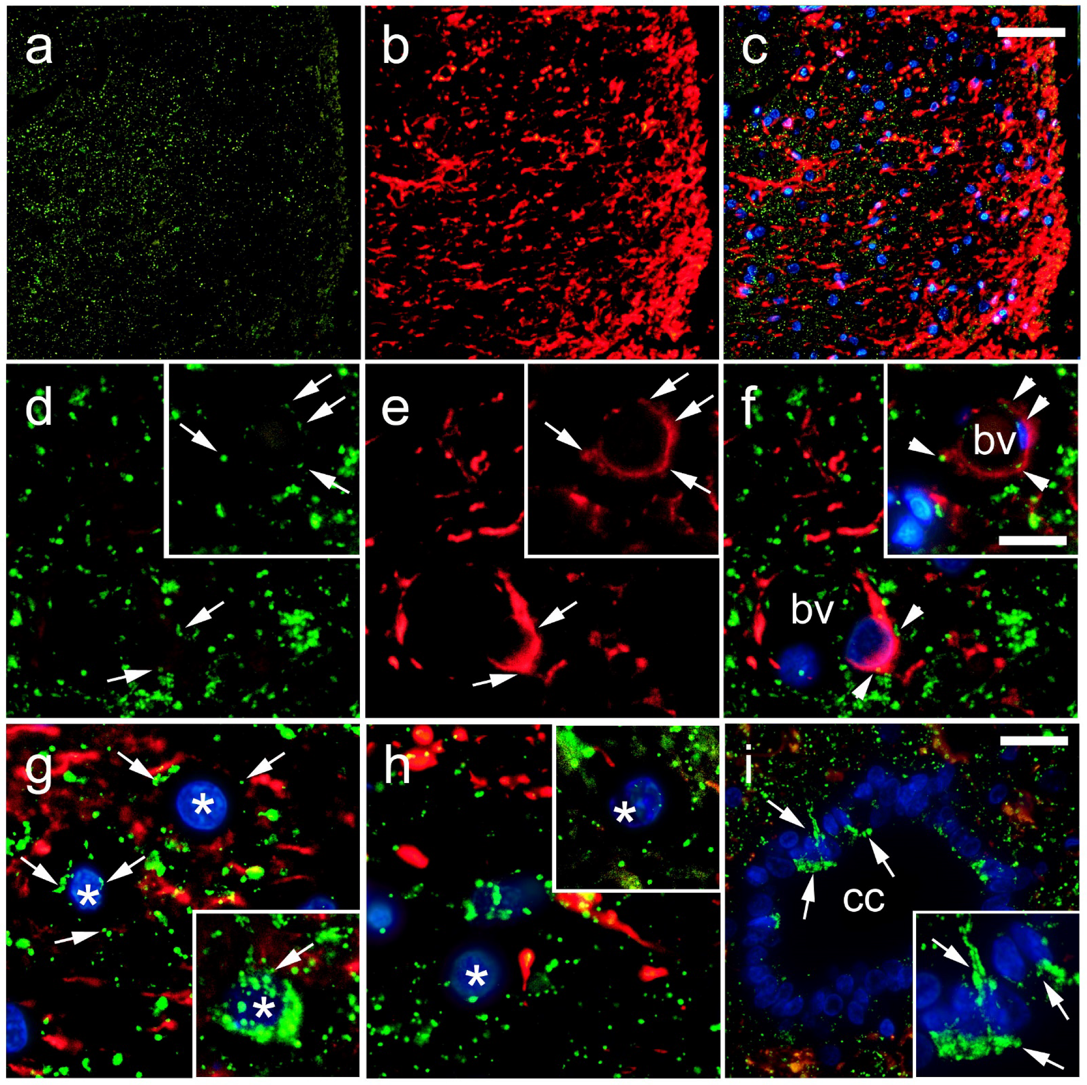 Life 11 01330 g004 Life 11 01330 g004