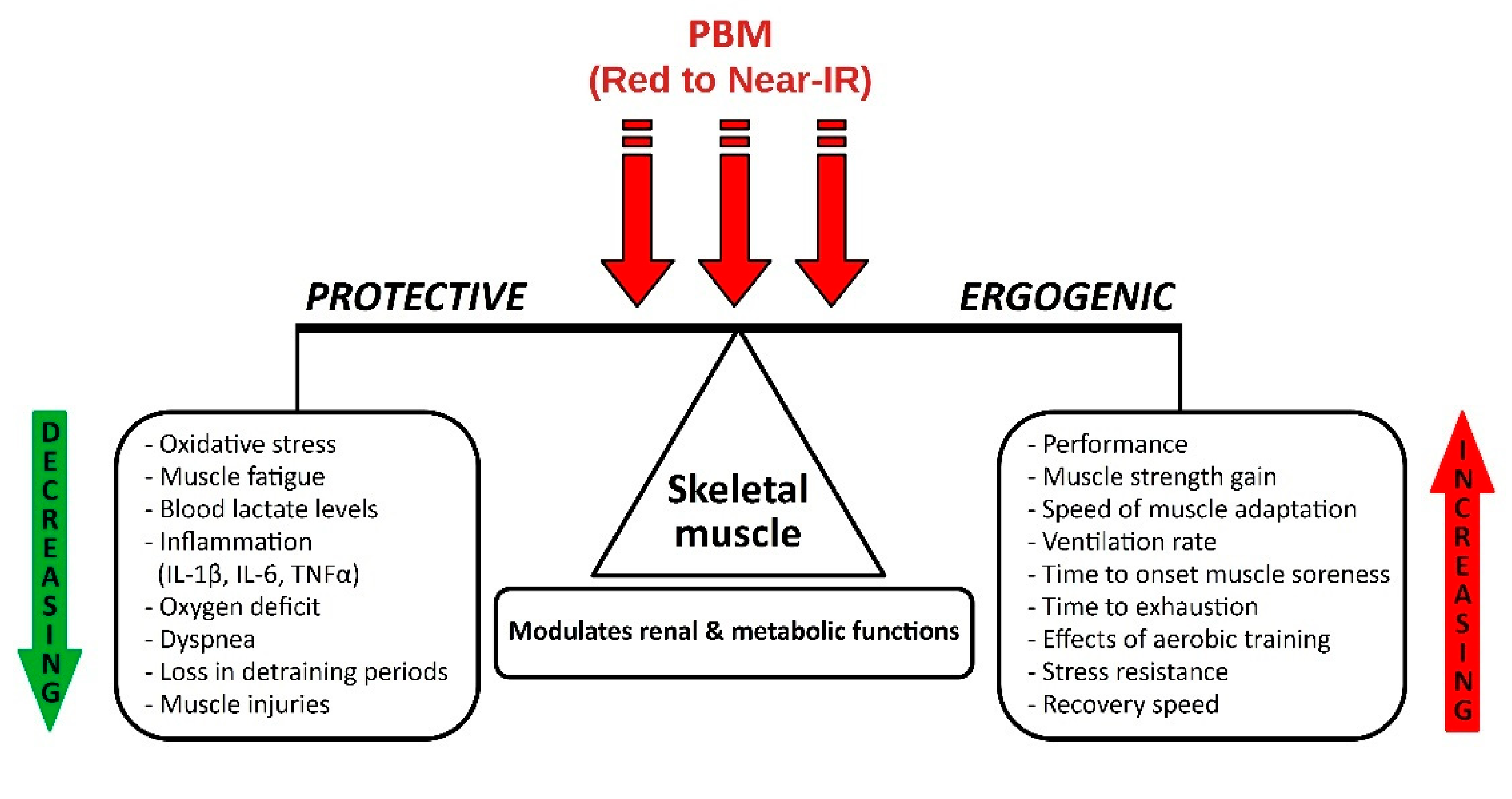 Life 11 01339 g002 Life 11 01339 g002