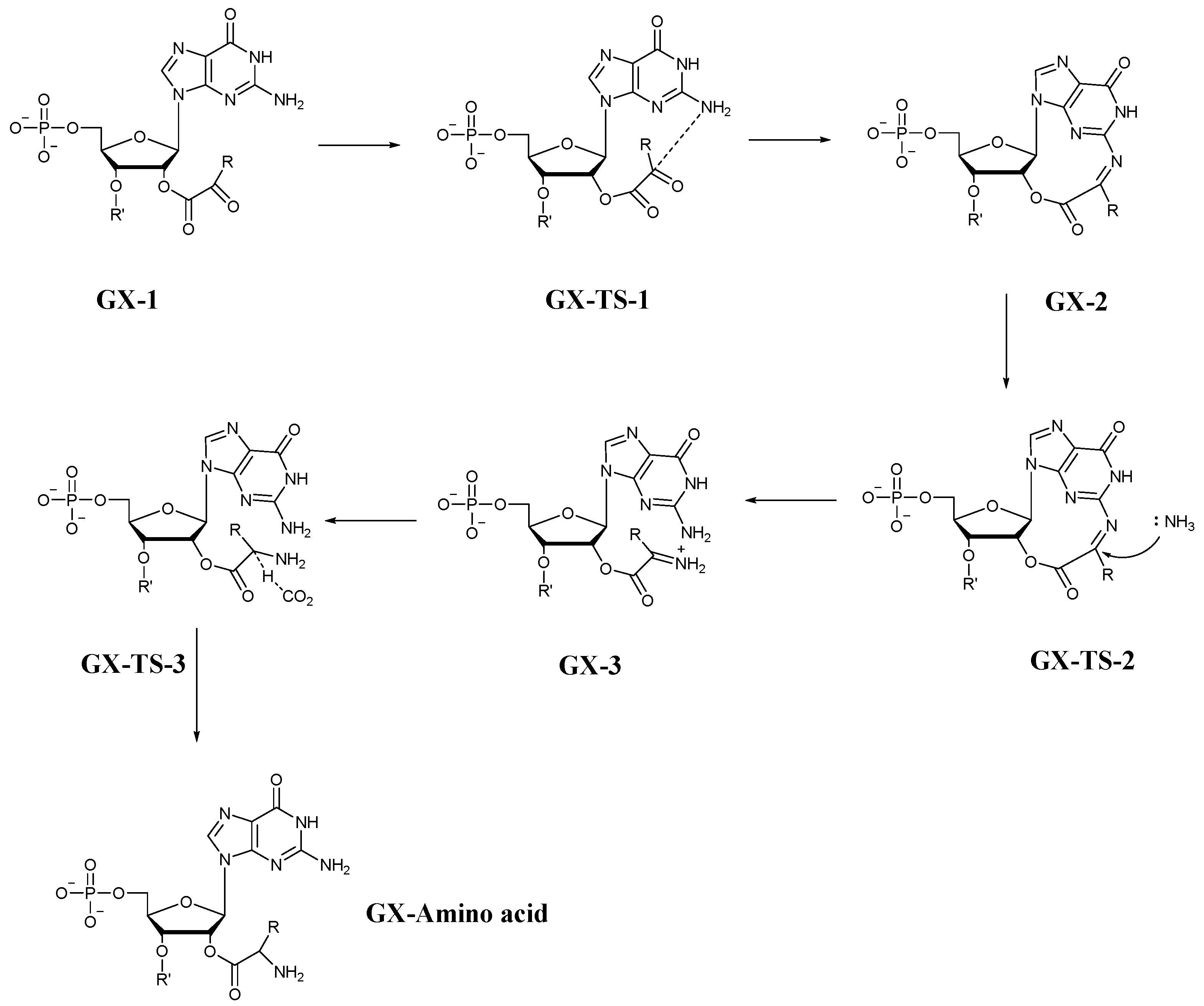 Life 11 01343 g002 550