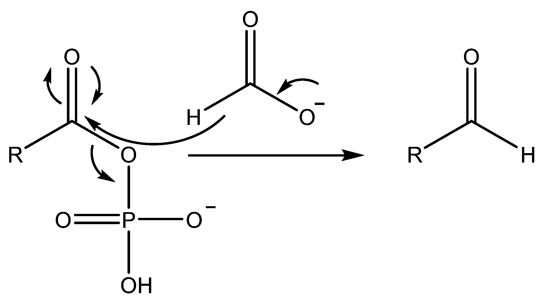 Life 11 01343 g003 550