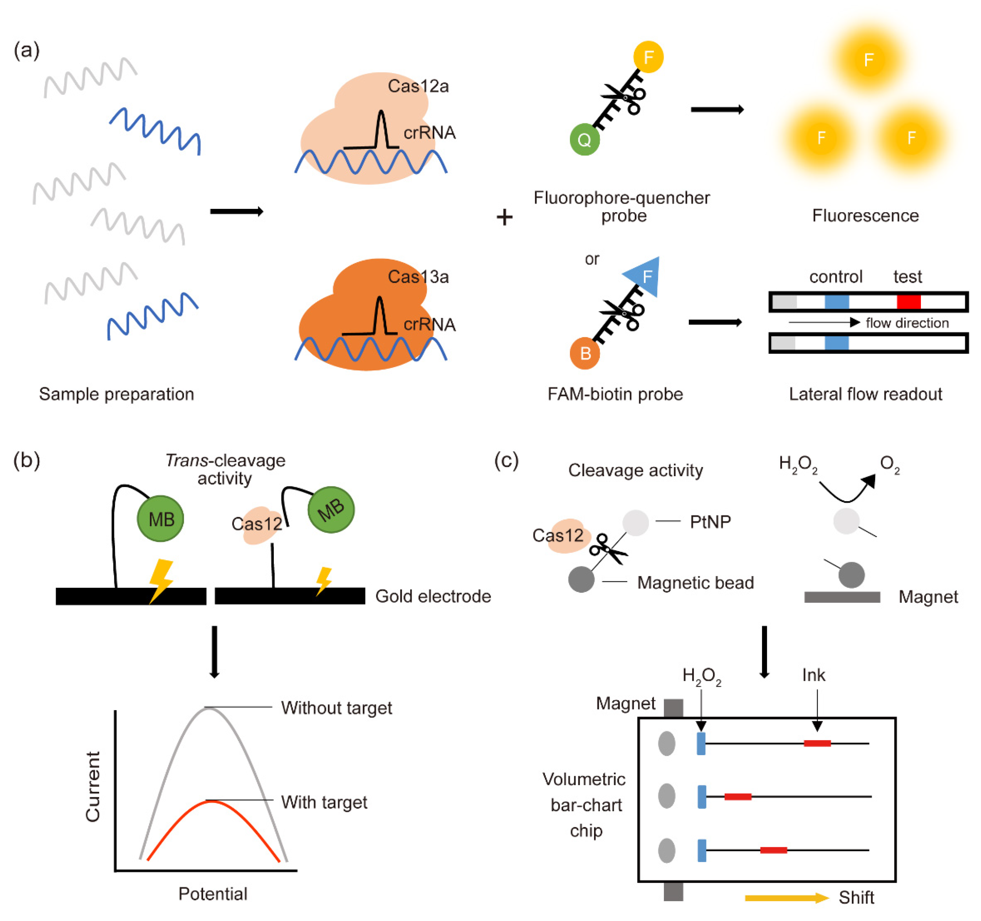 Life 11 01356 g001 550