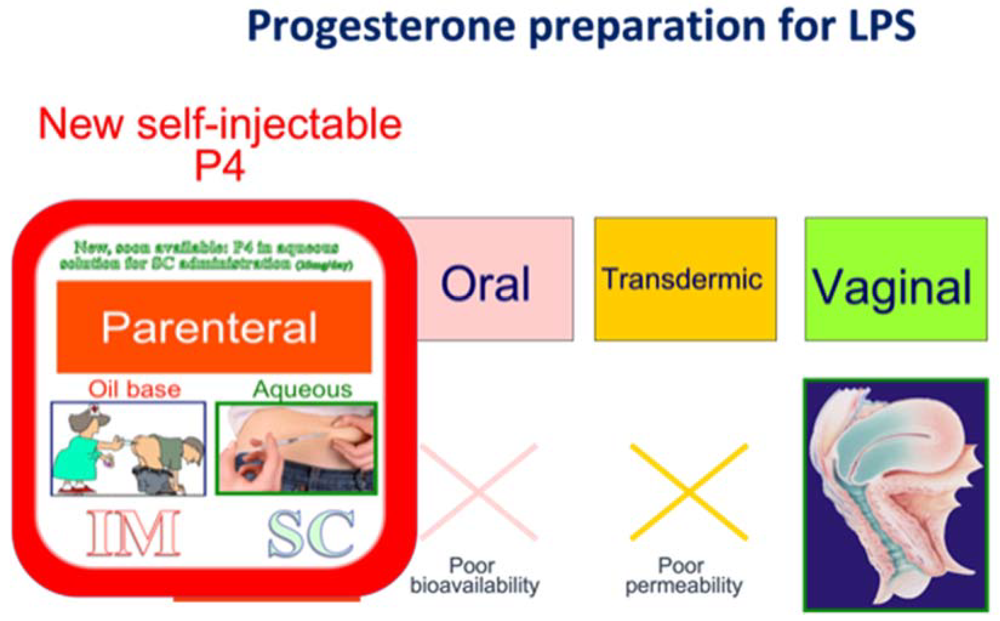 Implantation Failures and Miscarriages in Frozen Embryo Transfers 