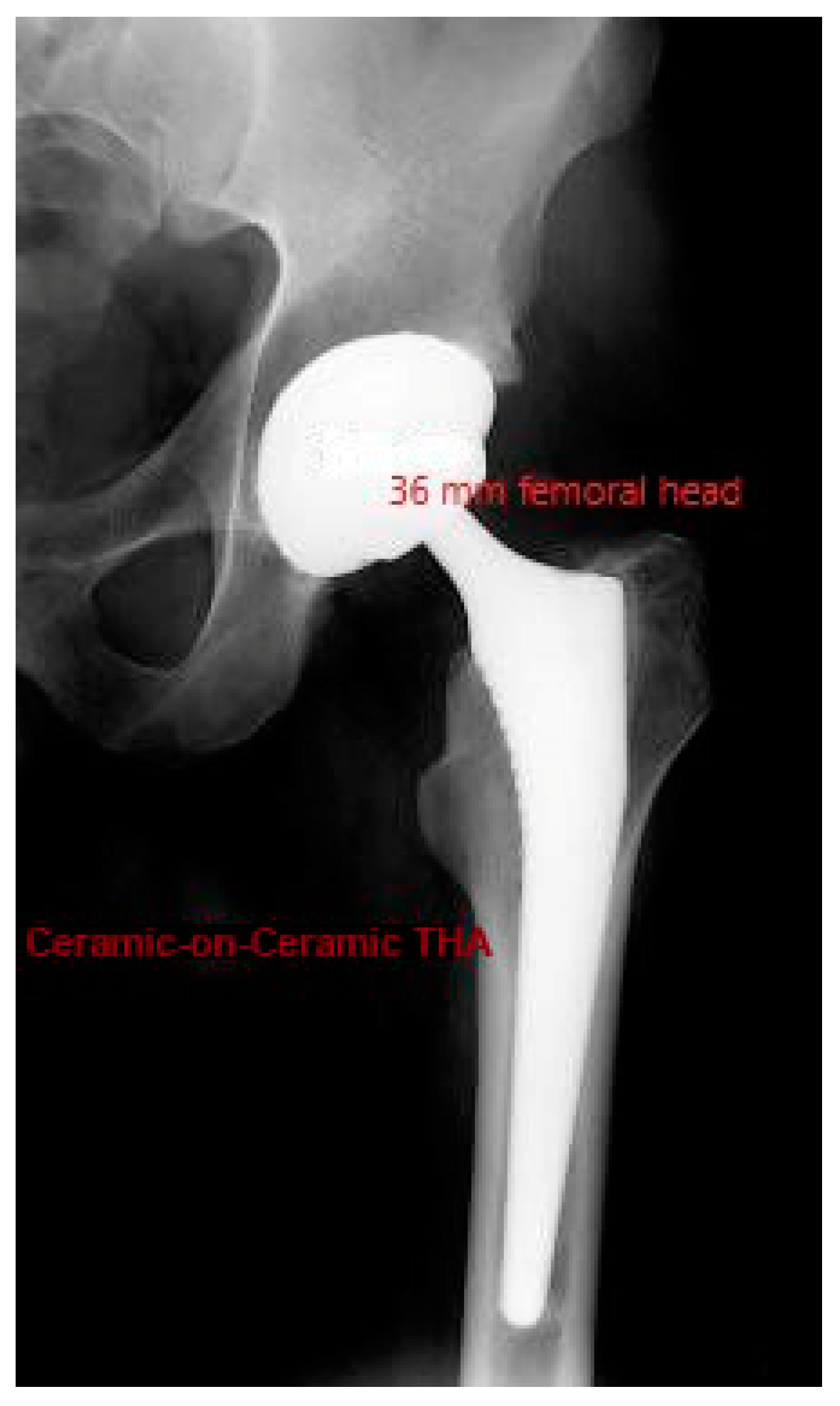 Life 11 01366 g001 Life 11 01366 g001