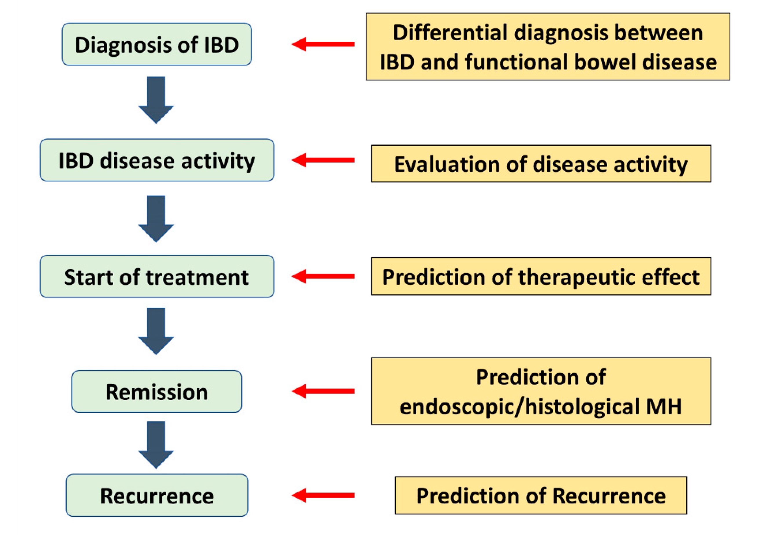 Inflammatory bowel disease in spanish