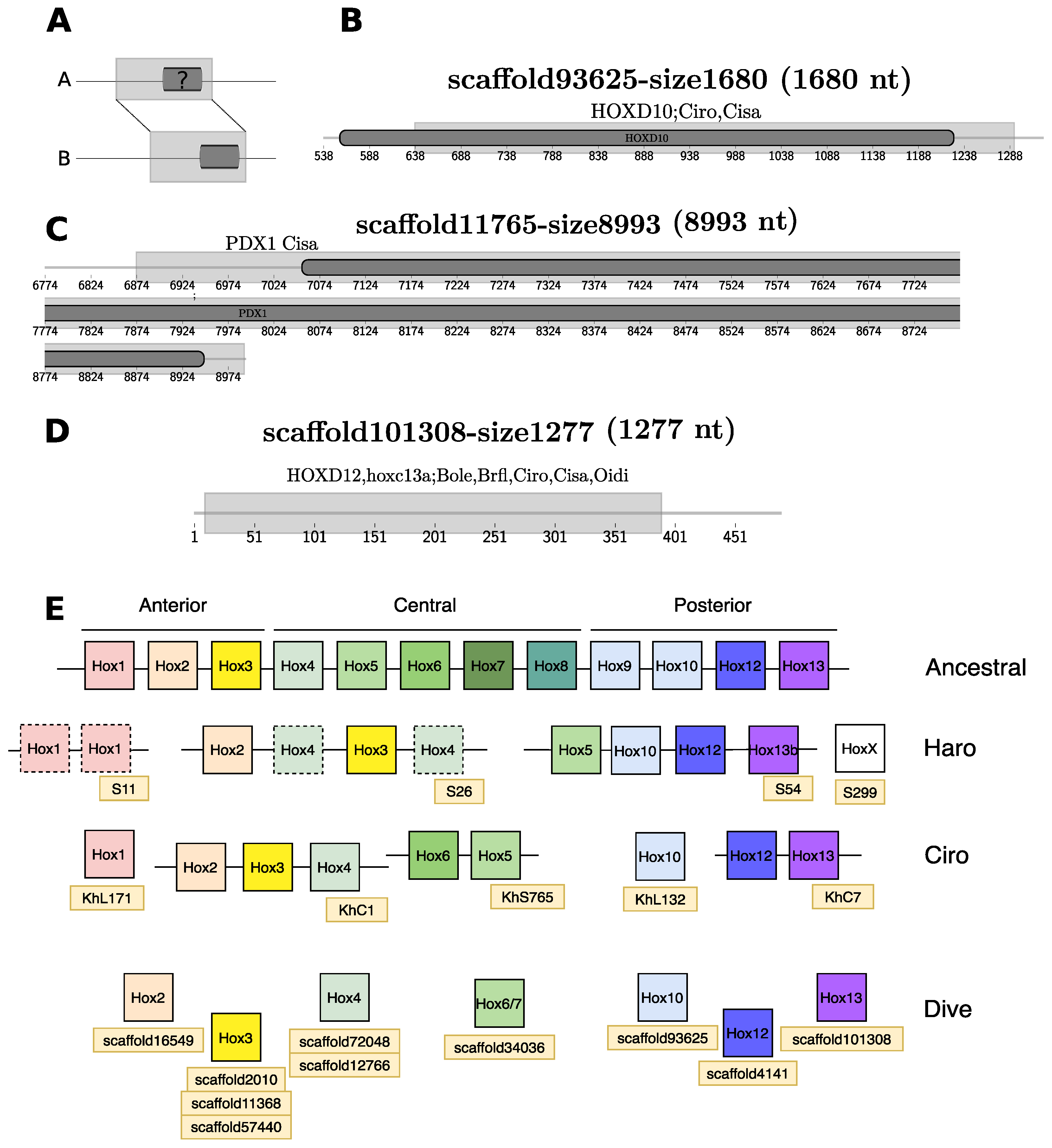 Life 11 01377 g004 Life 11 01377 g004