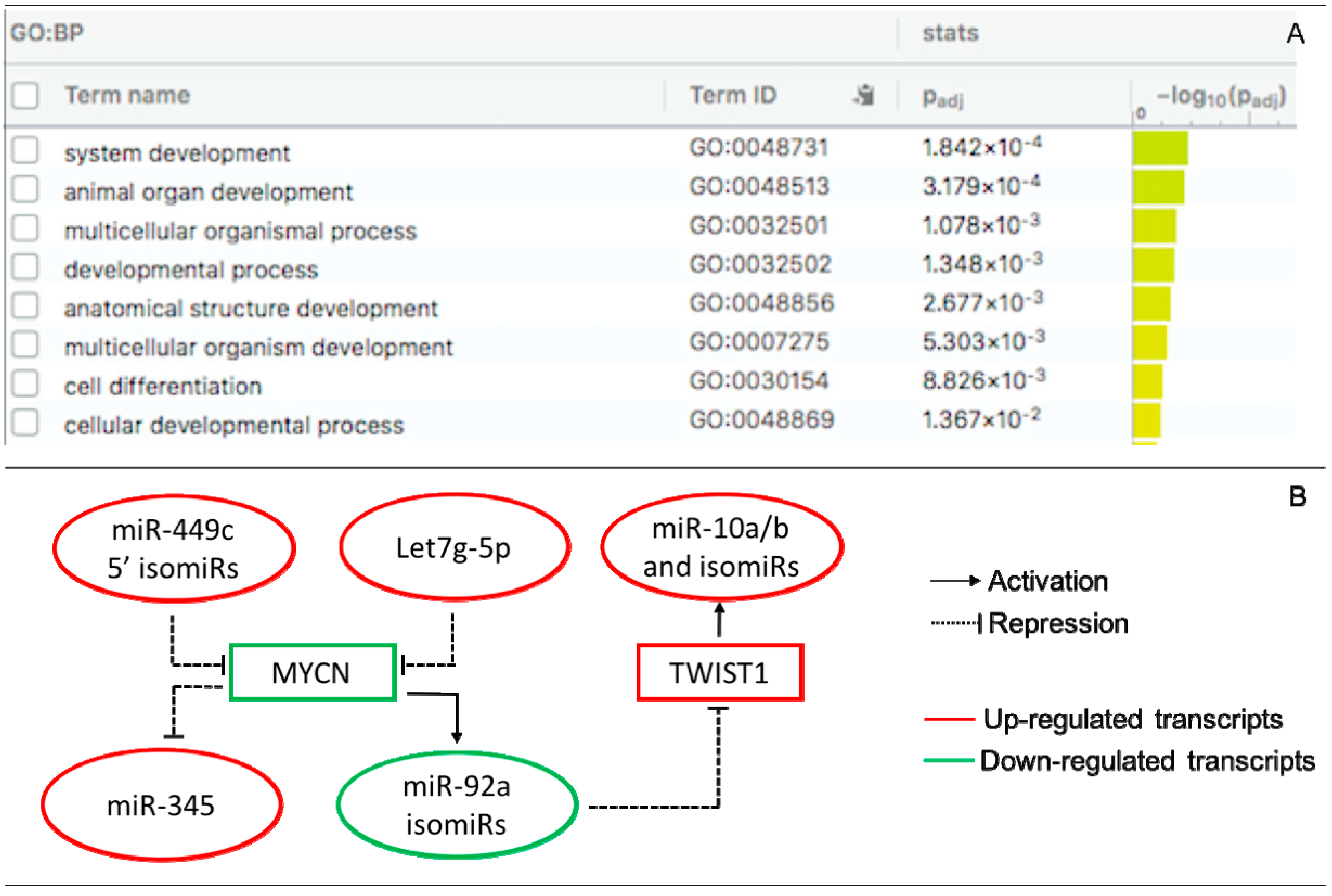 Life 11 01391 g003 Life 11 01391 g003