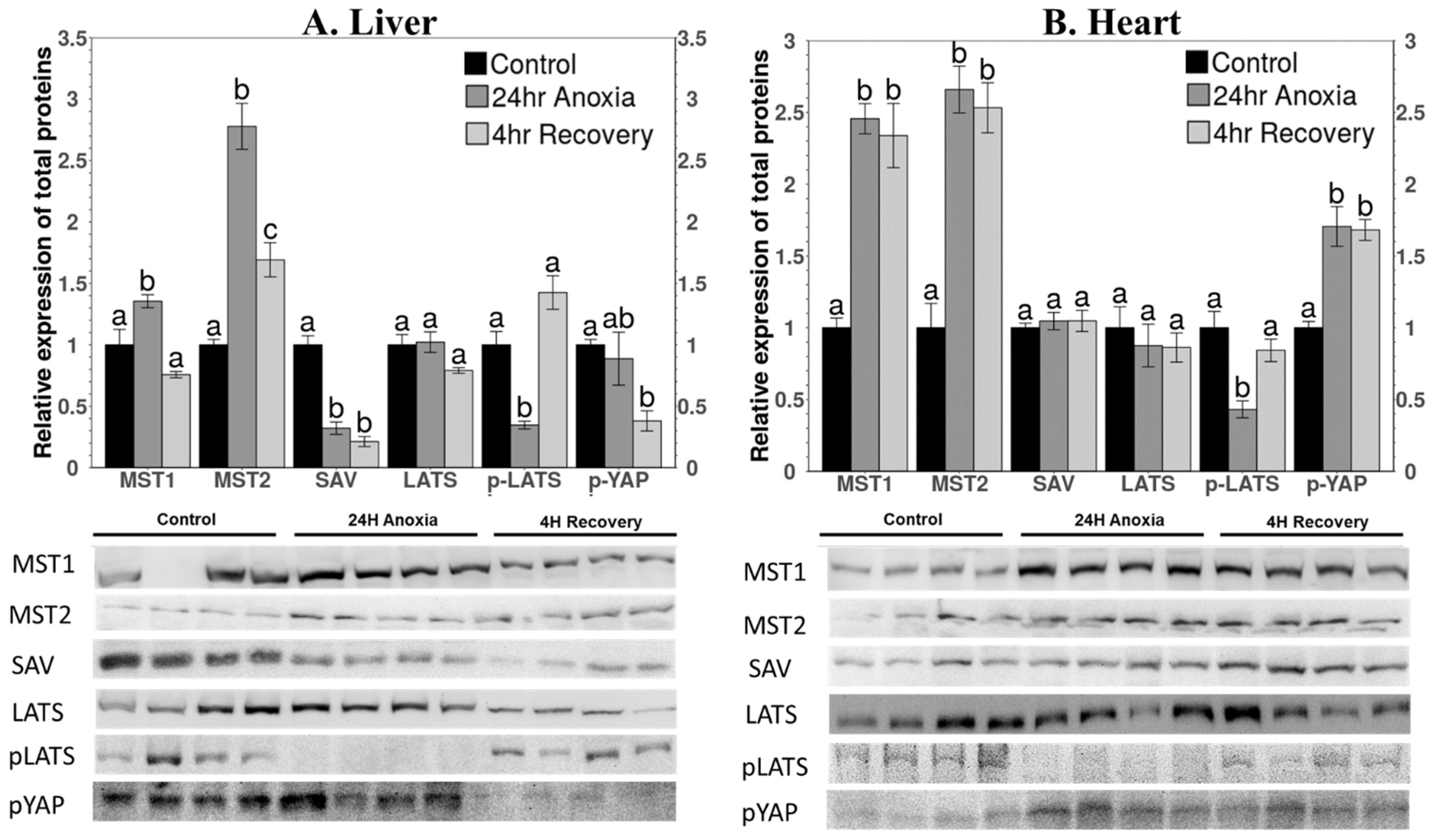 Life 11 01422 g002 550