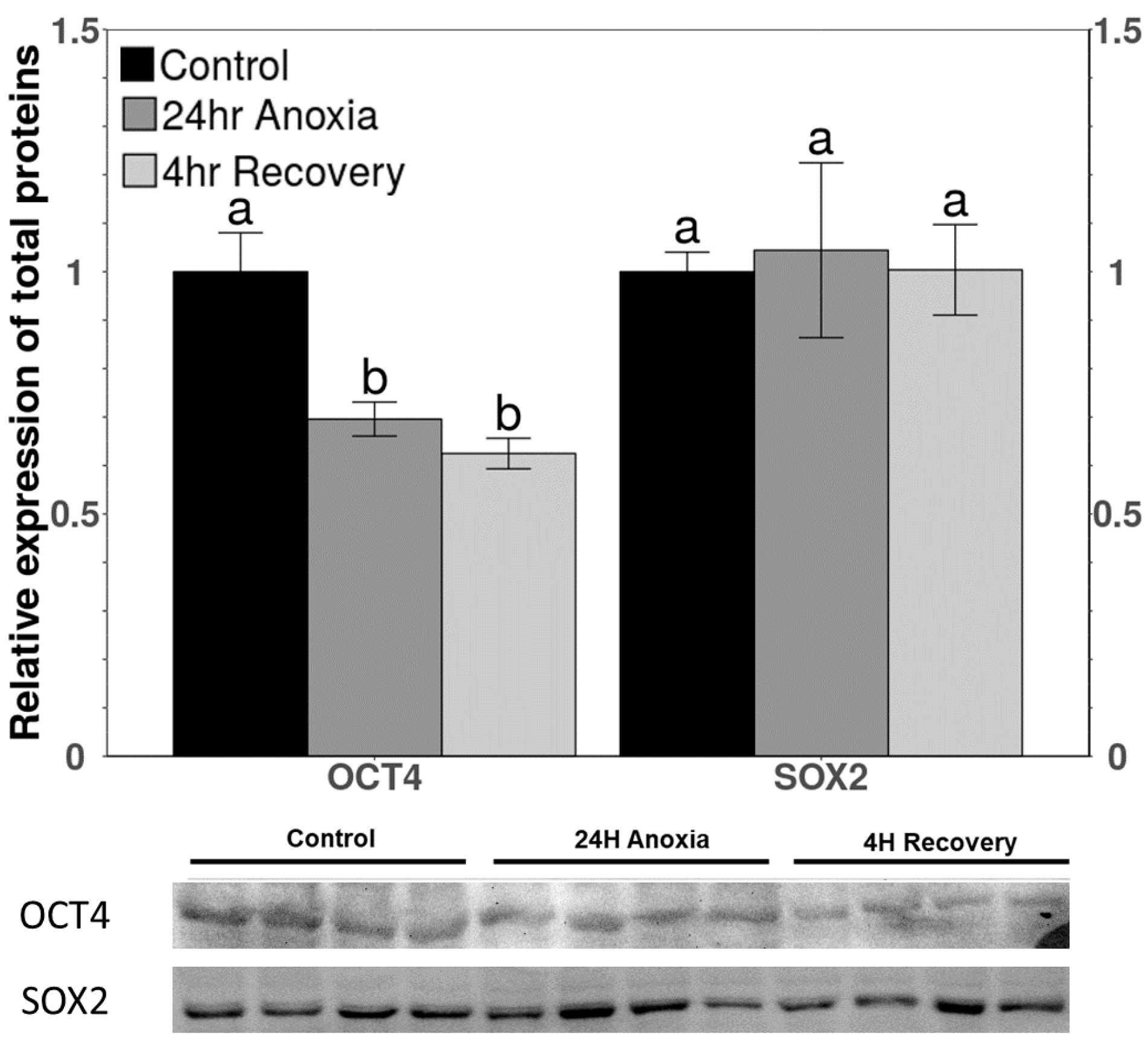 Life 11 01422 g004 550