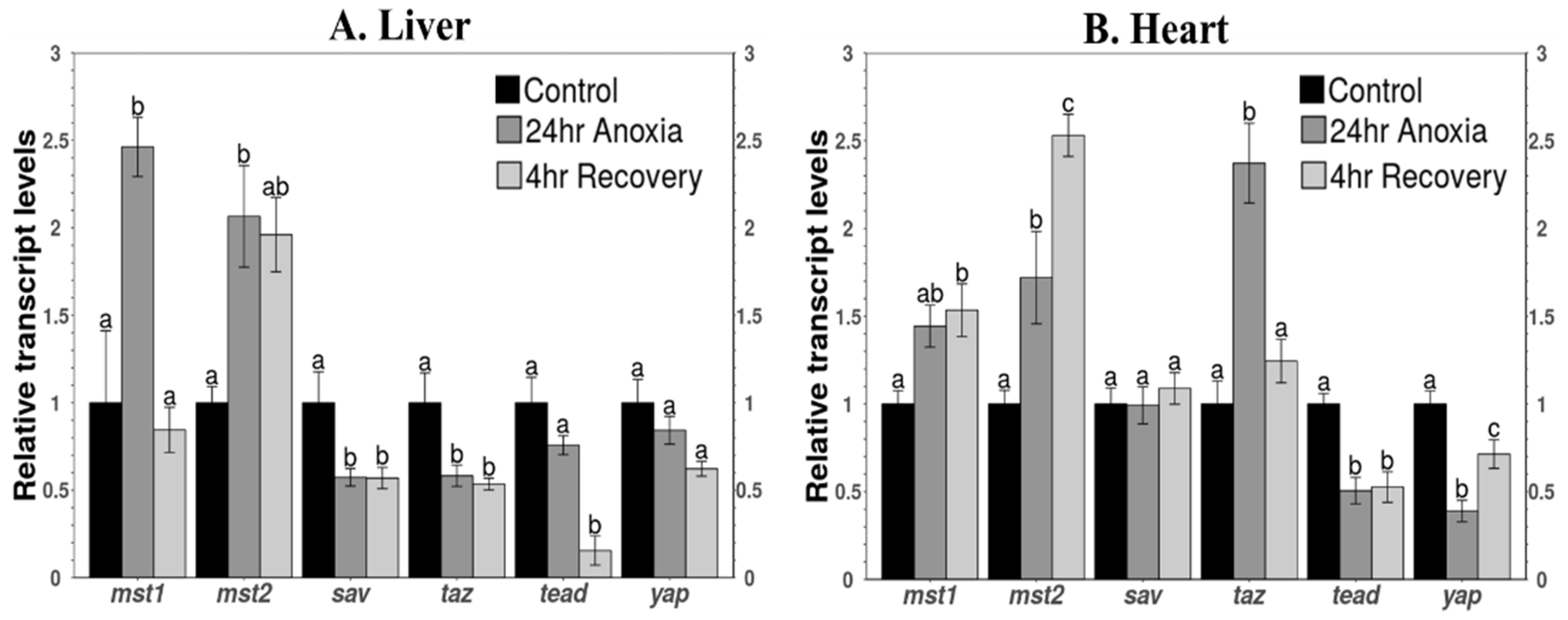 Life 11 01422 g006 550