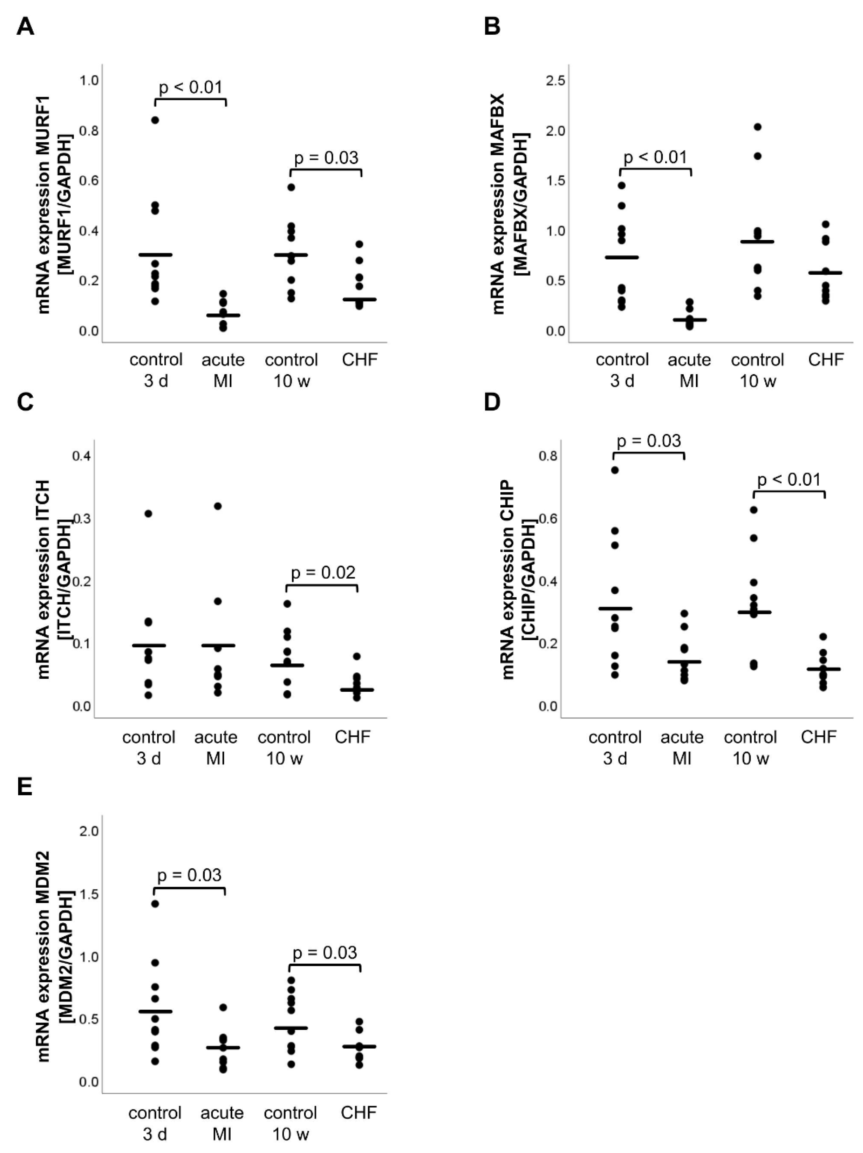Life 11 01430 g001 Life 11 01430 g001