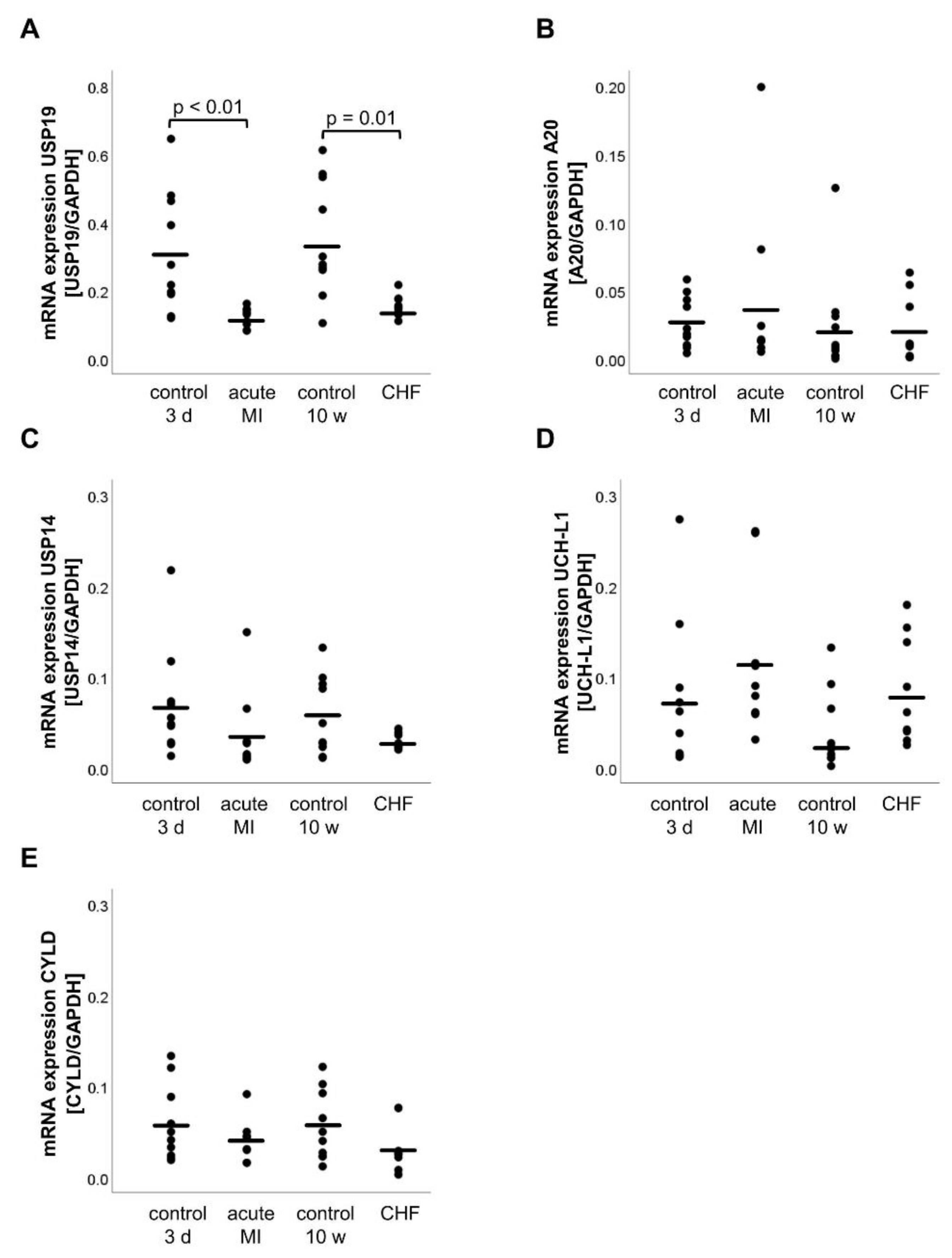 Life 11 01430 g003 Life 11 01430 g003