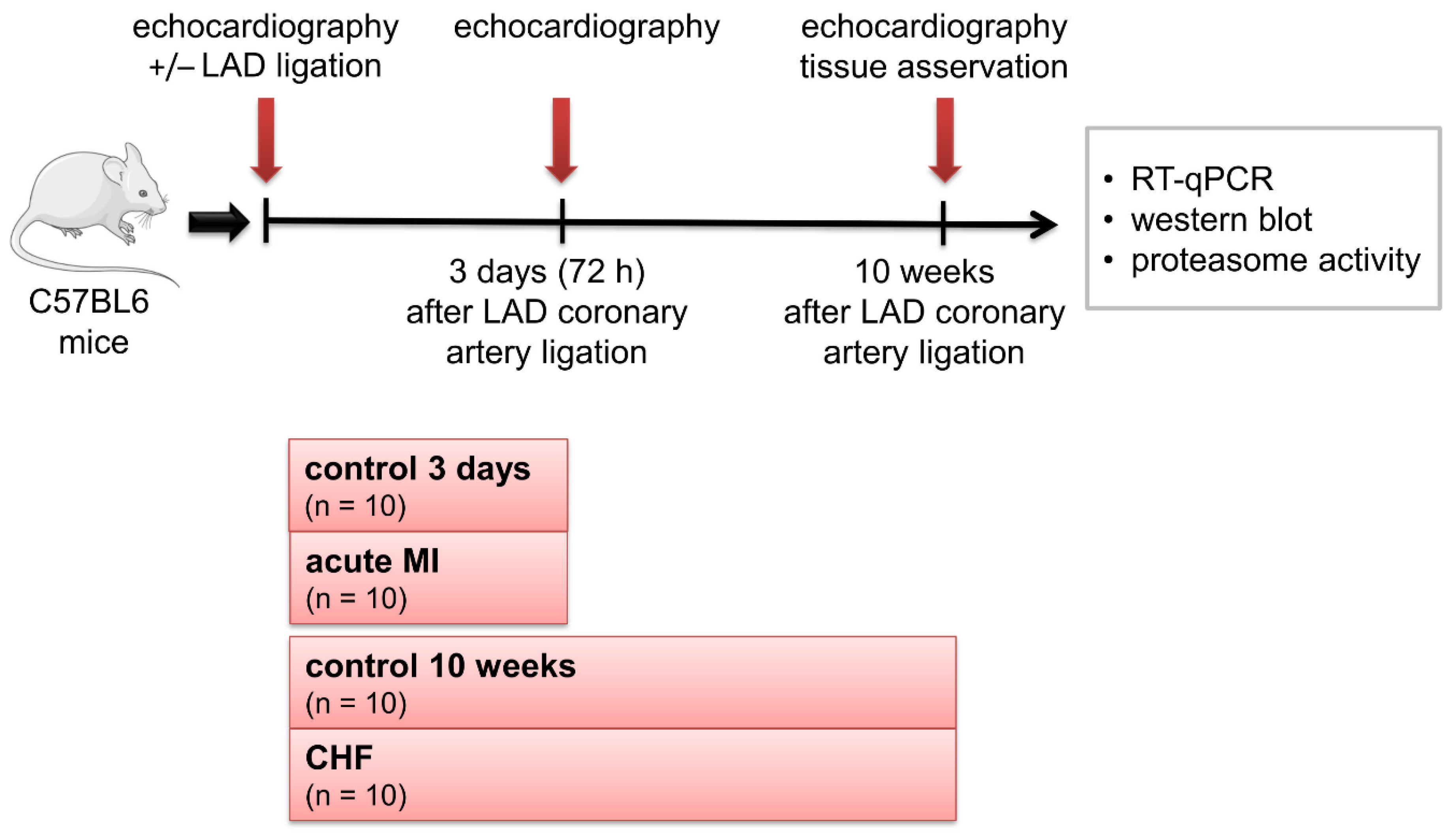 Life 11 01430 g005 Life 11 01430 g005
