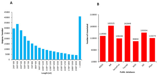 Combined Transcriptome and Lipidomic Analyses of Lipid