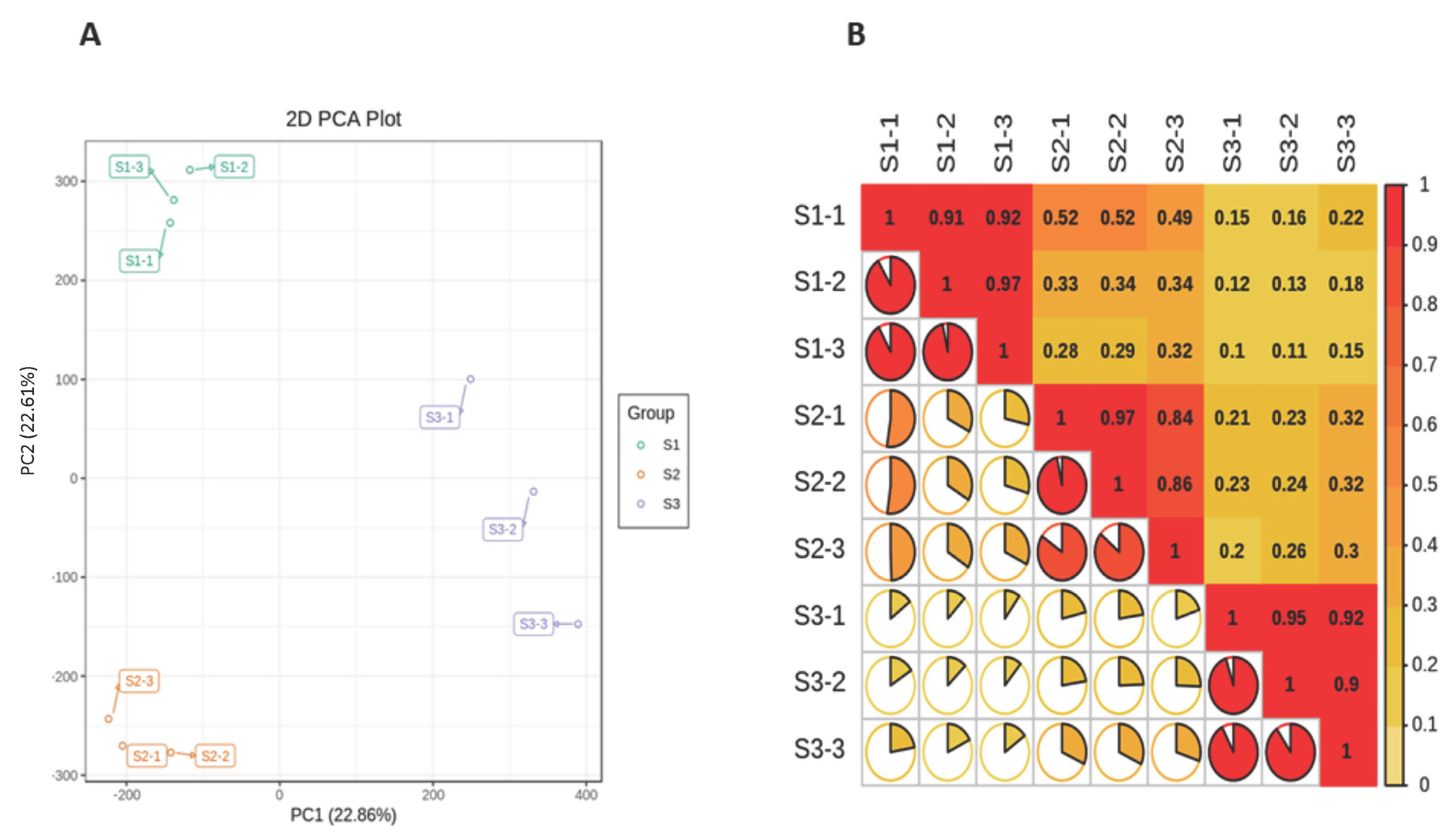 Life 11 01431 g002 Life 11 01431 g002