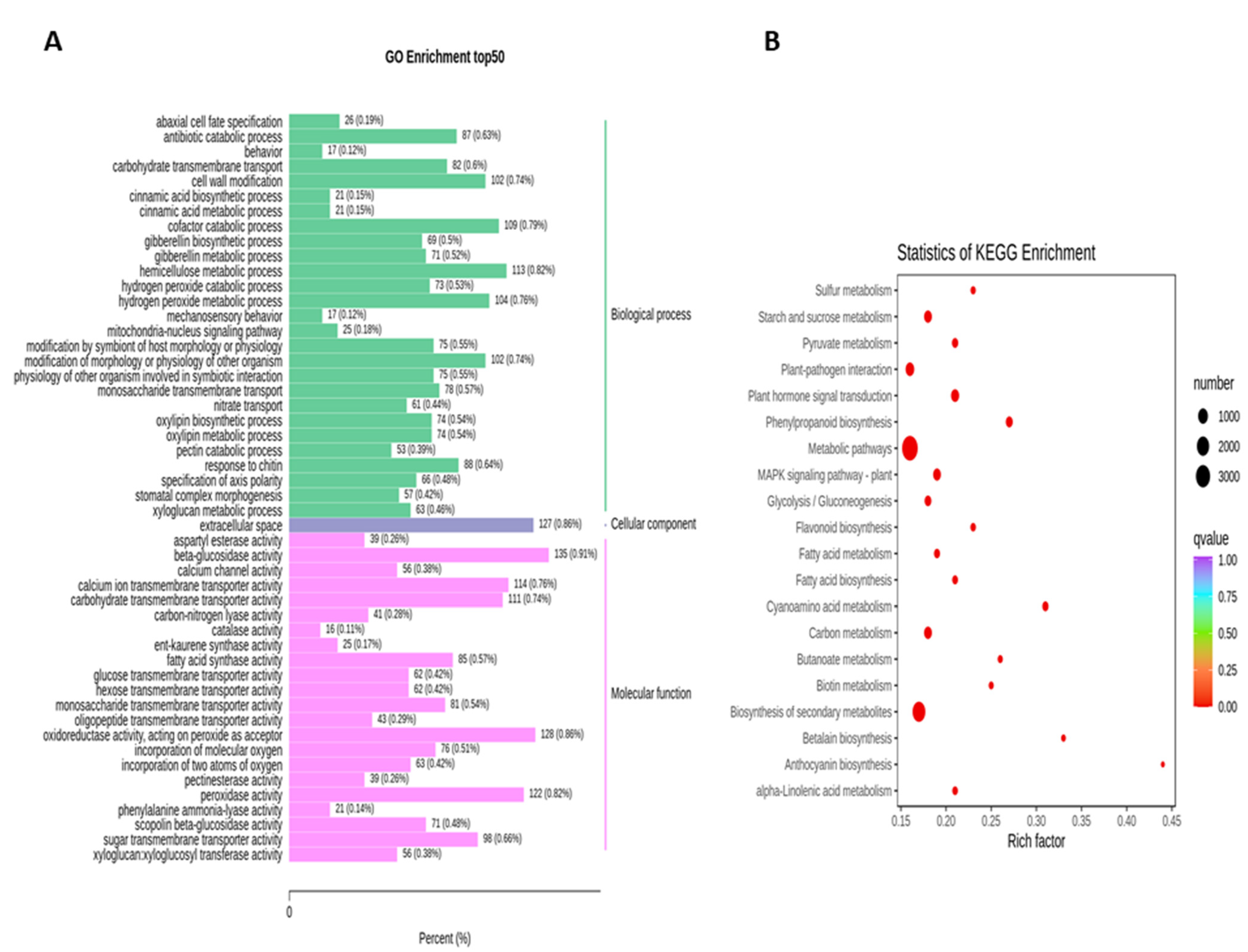 Combined Transcriptome and Lipidomic Analyses of Lipid