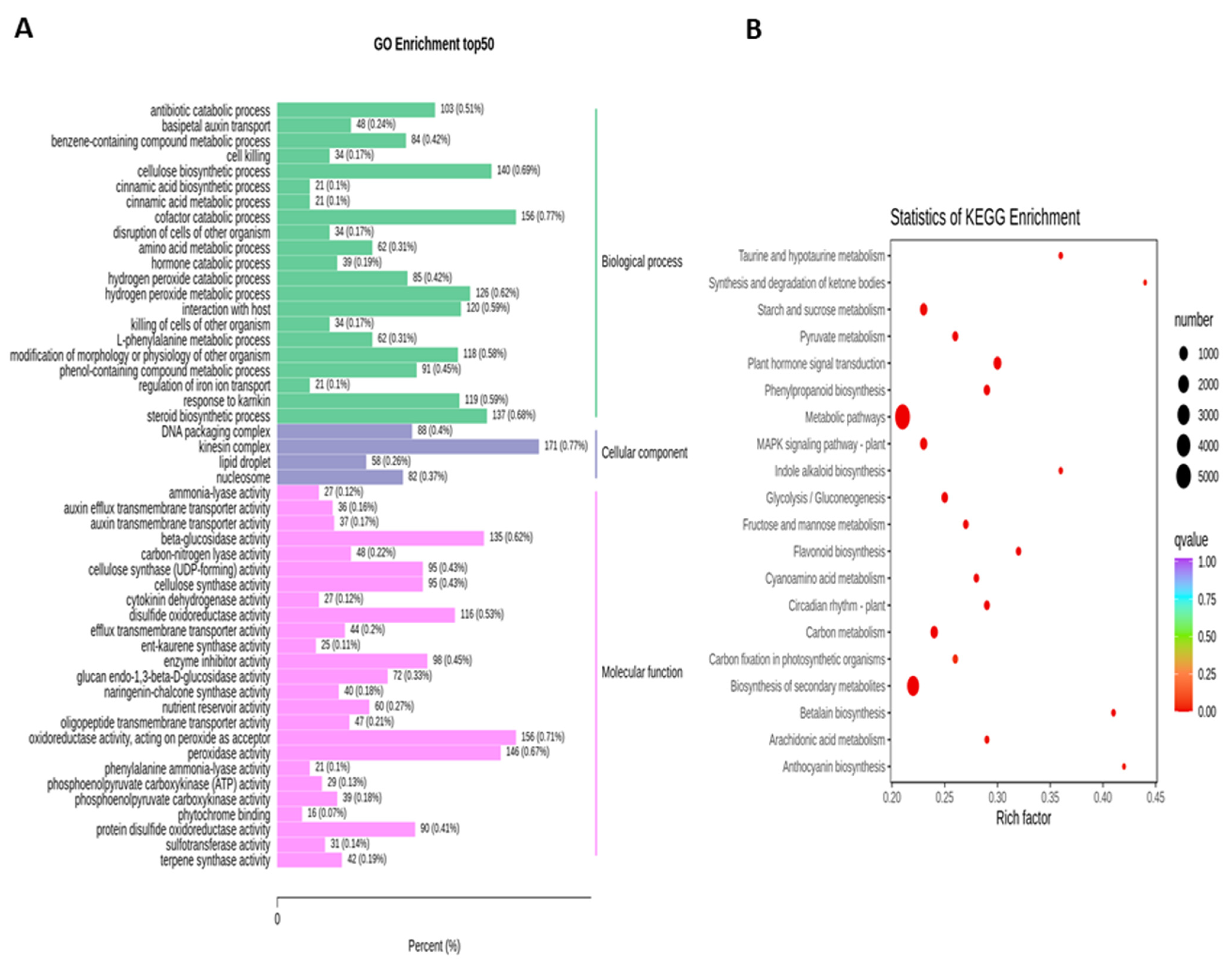 Life 11 01431 g005 Life 11 01431 g005