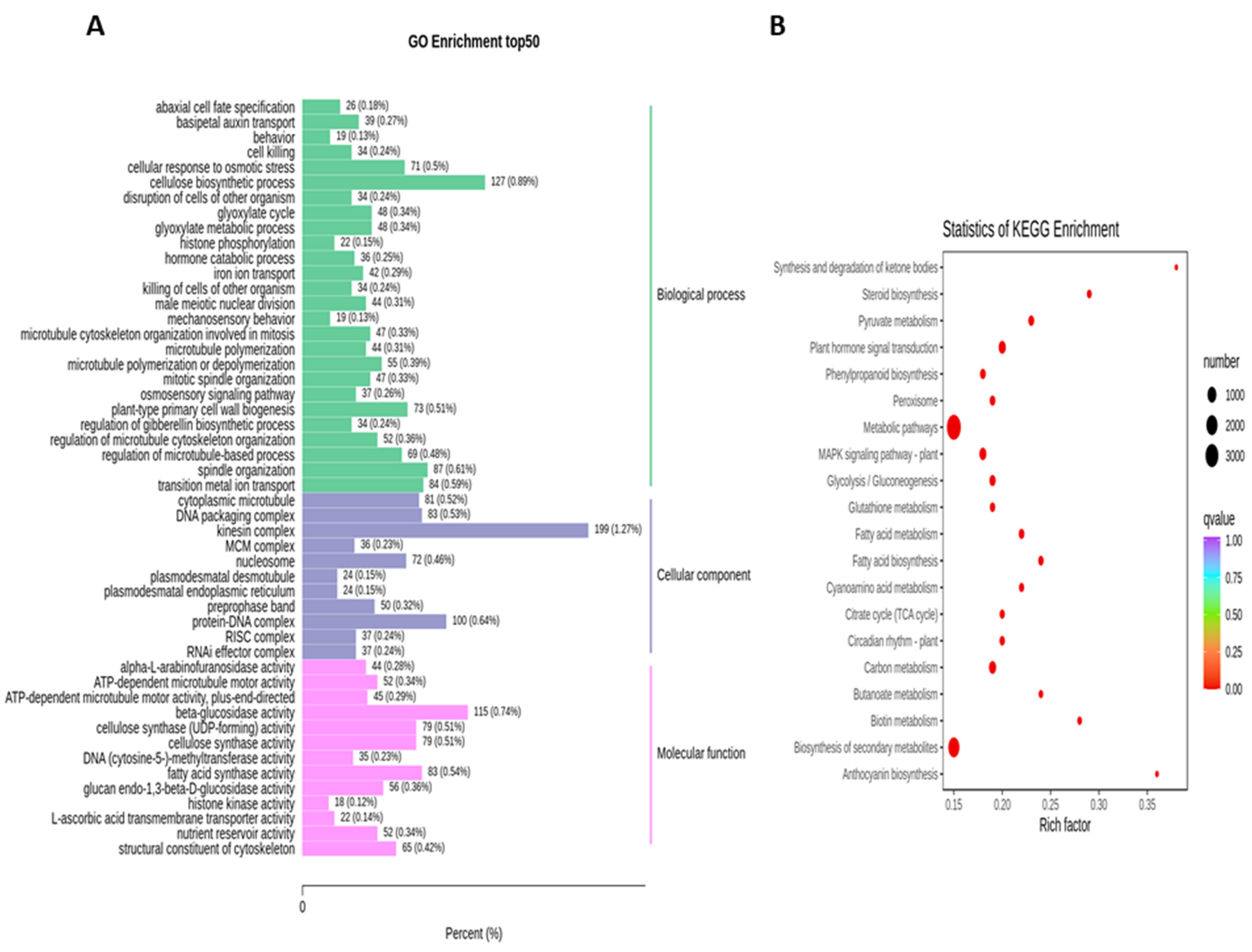 Life 11 01431 g006 Life 11 01431 g006