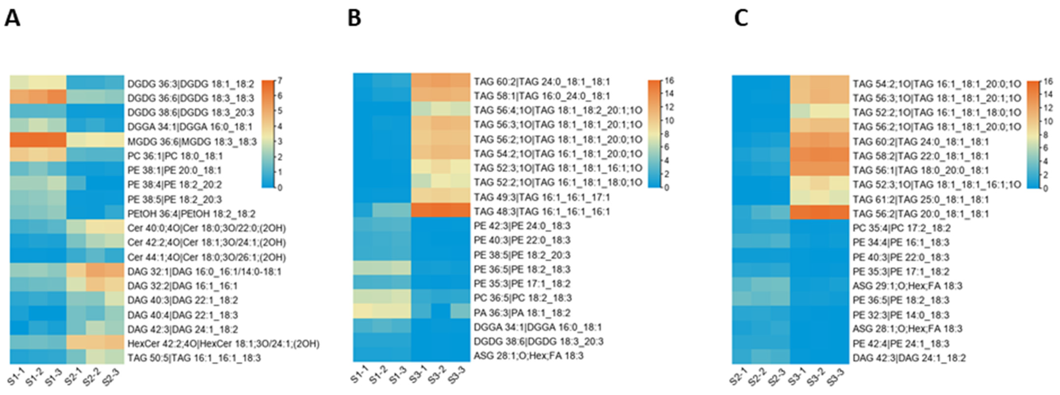 Life | Free Full-Text | Combined Transcriptome and Lipidomic 
