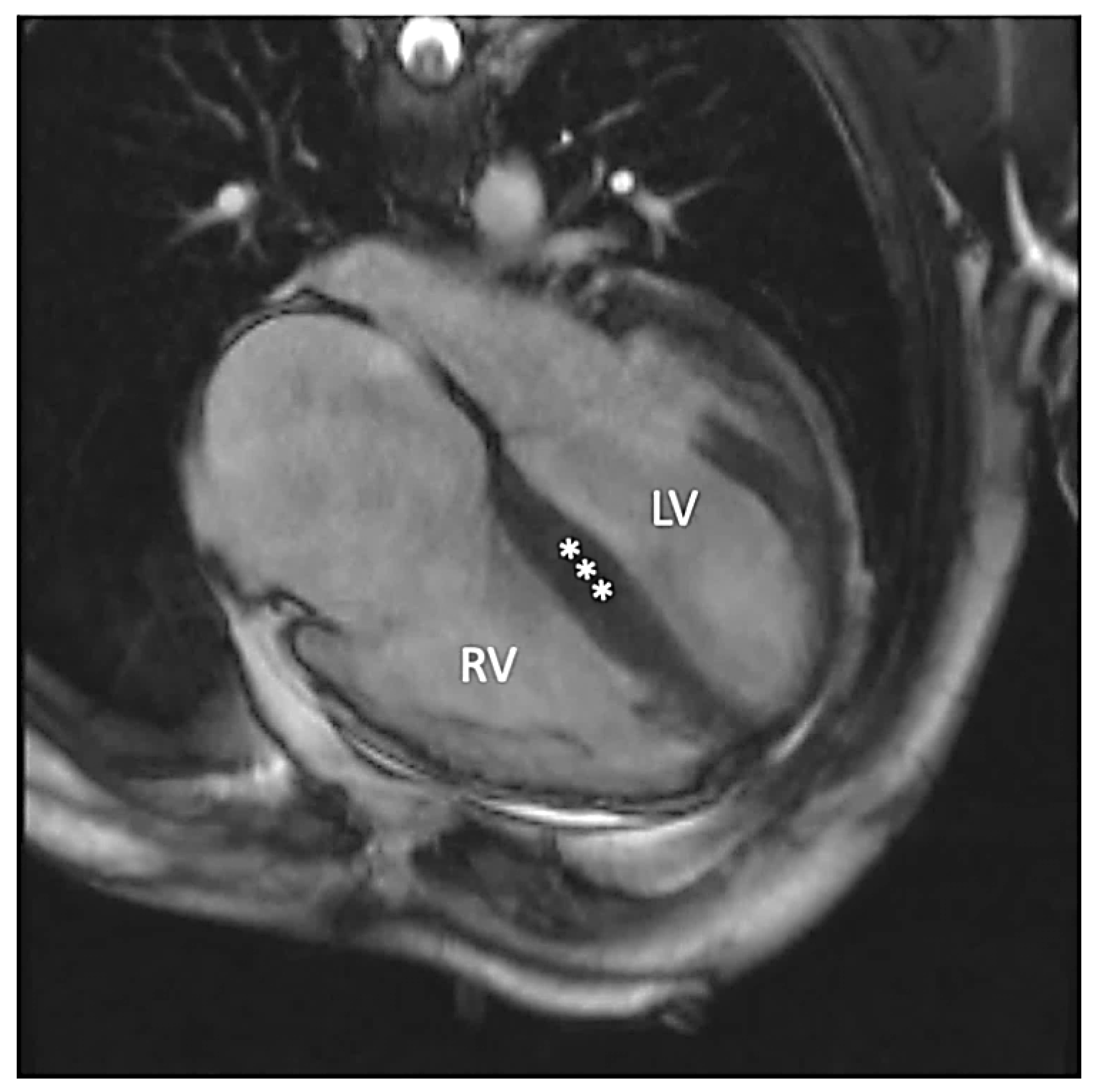 Life 12 00003 g002 Life 12 00003 g002
