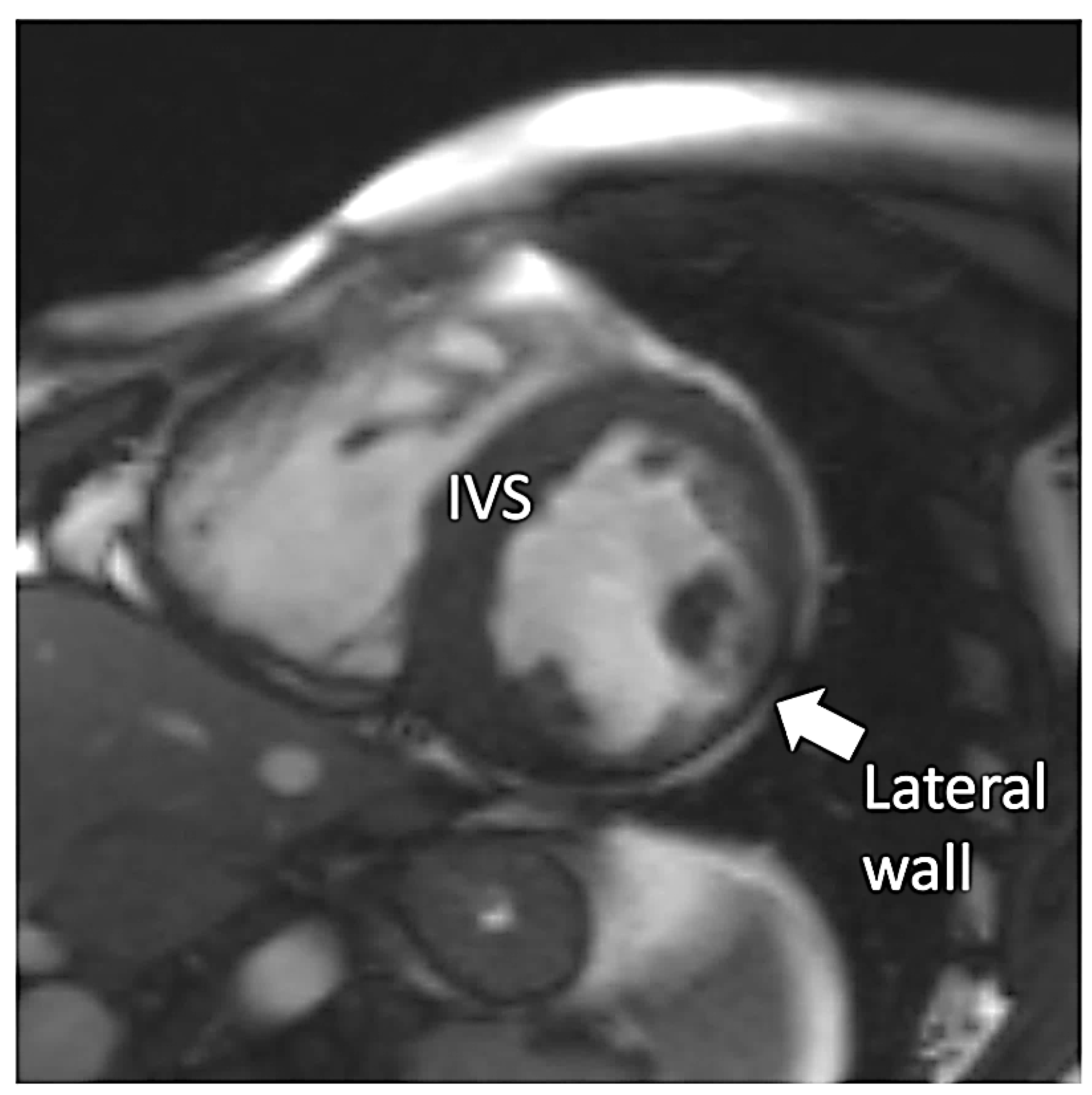 Life 12 00003 g003 Life 12 00003 g003