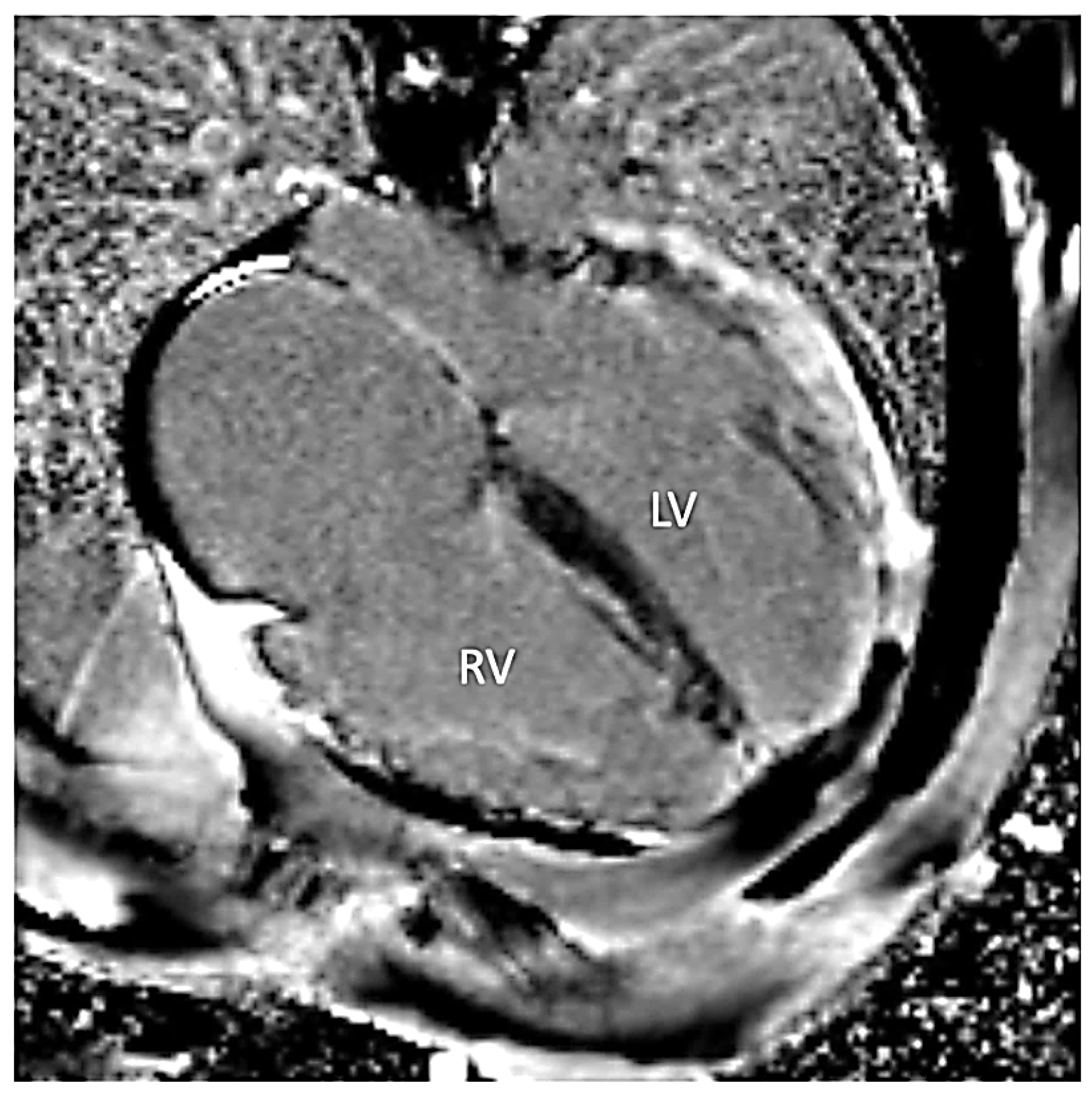 Life 12 00003 g004 Life 12 00003 g004