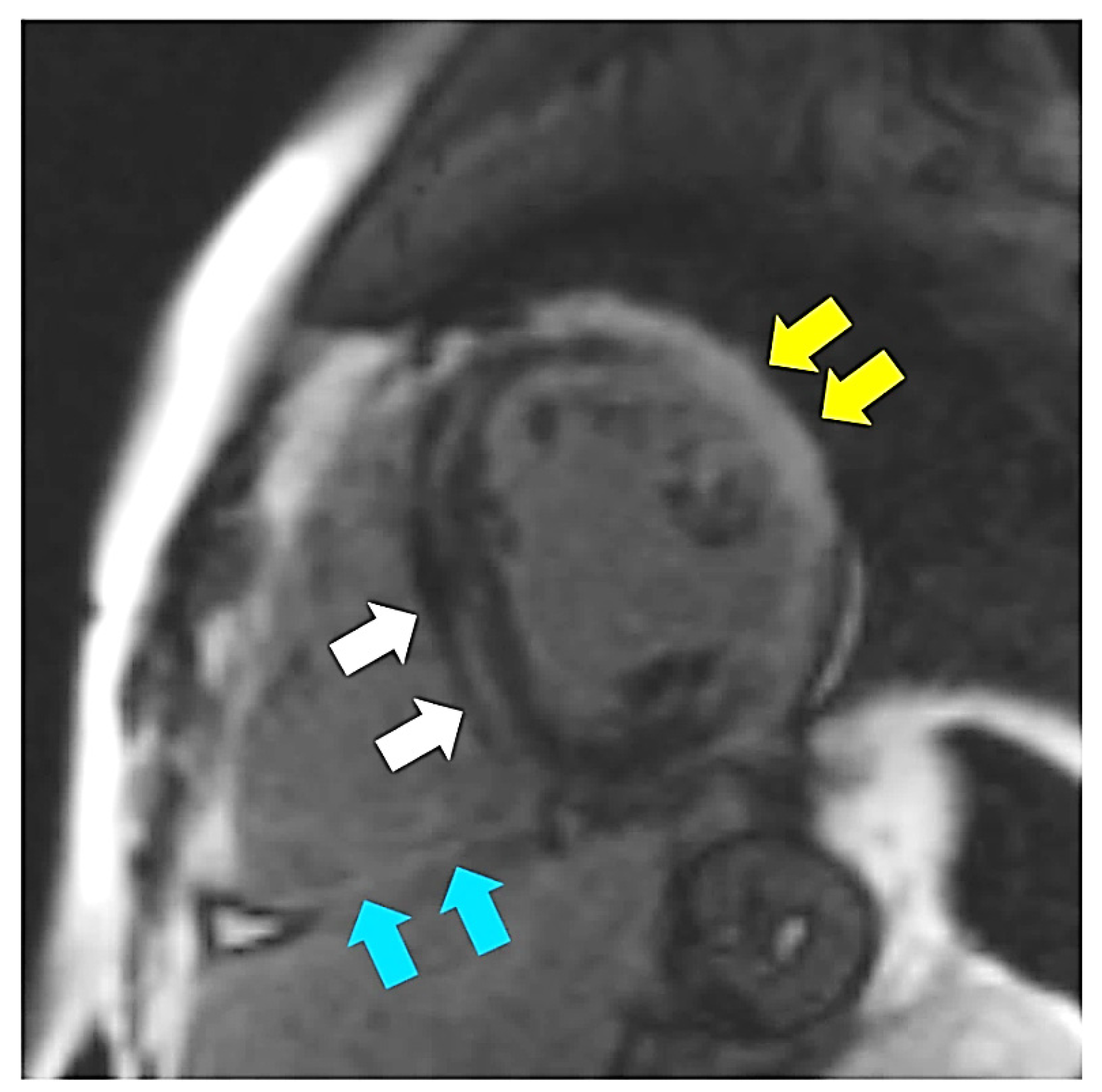 Life 12 00003 g005 Life 12 00003 g005