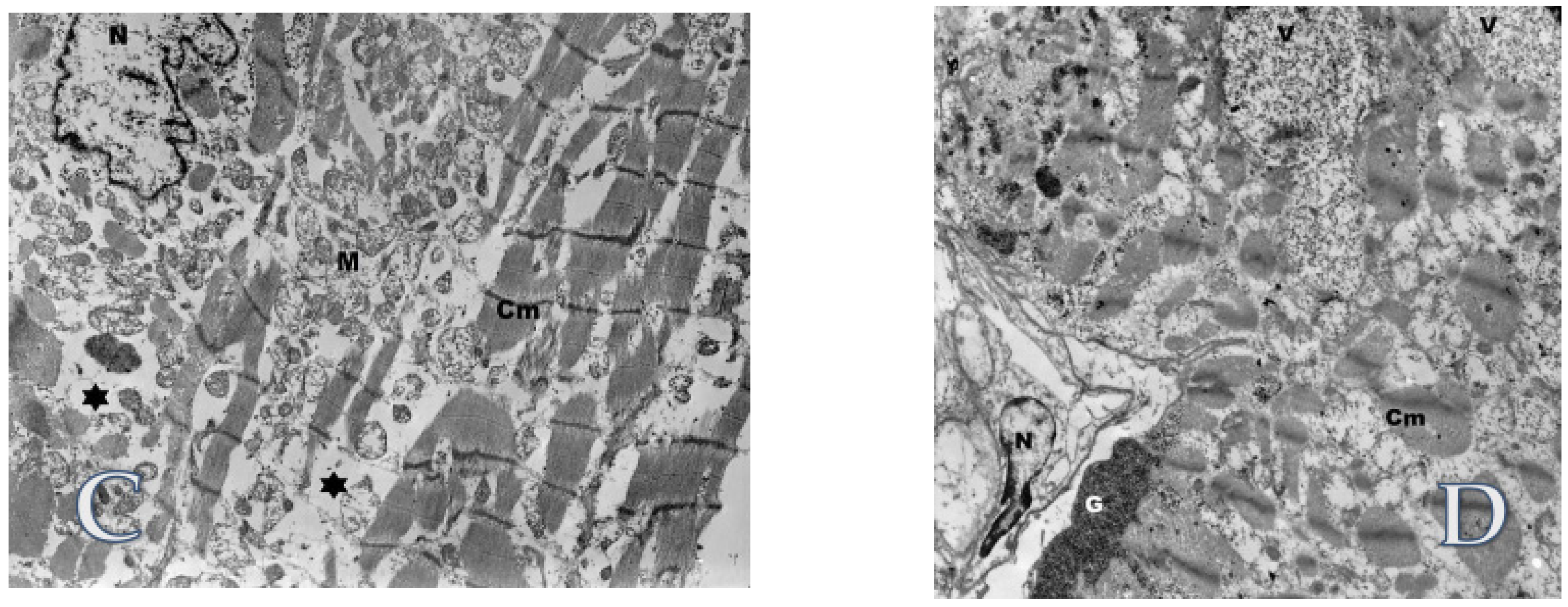 Life 12 00003 g008b Life 12 00003 g008b