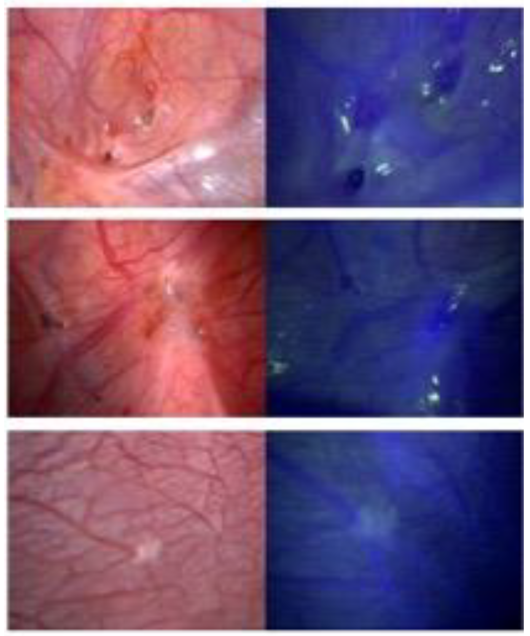 Life 12 00015 g001 550