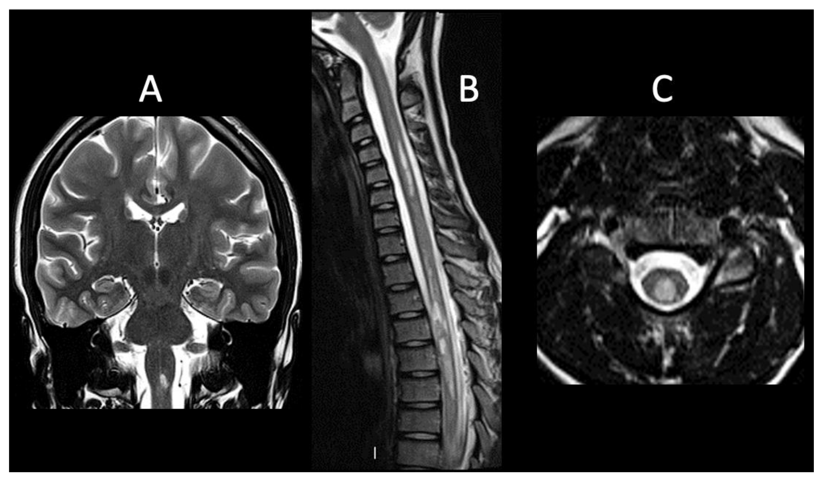 Life 12 00019 g001 Life 12 00019 g001