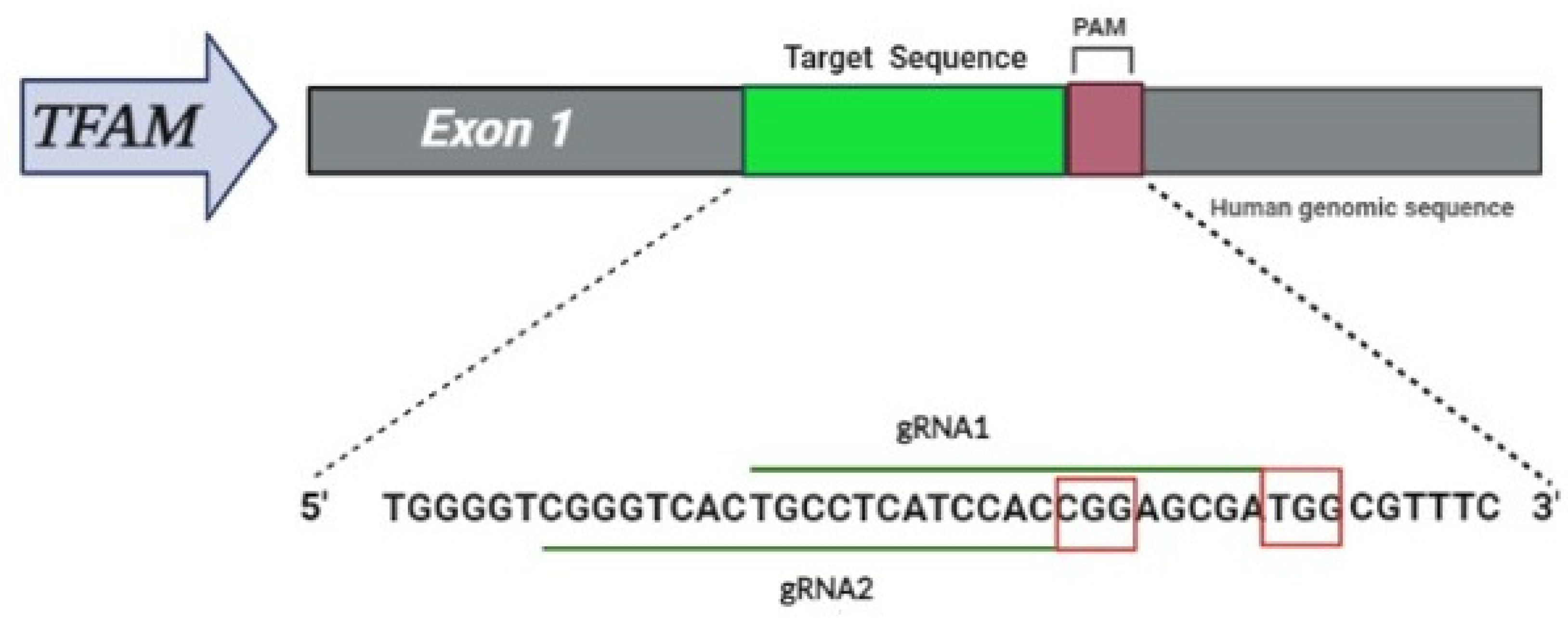 Life 12 00022 g001 550