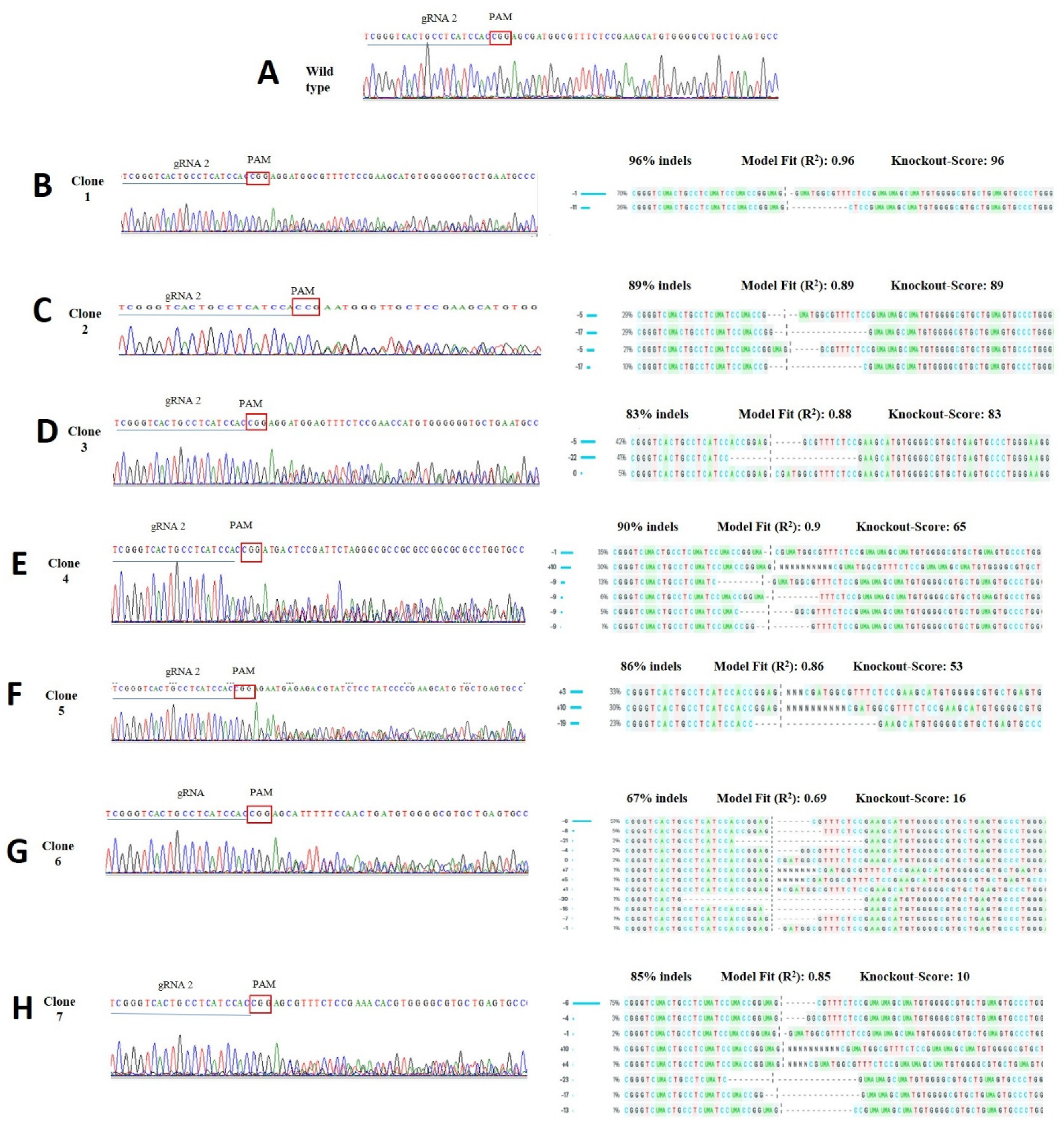Life 12 00022 g004 550