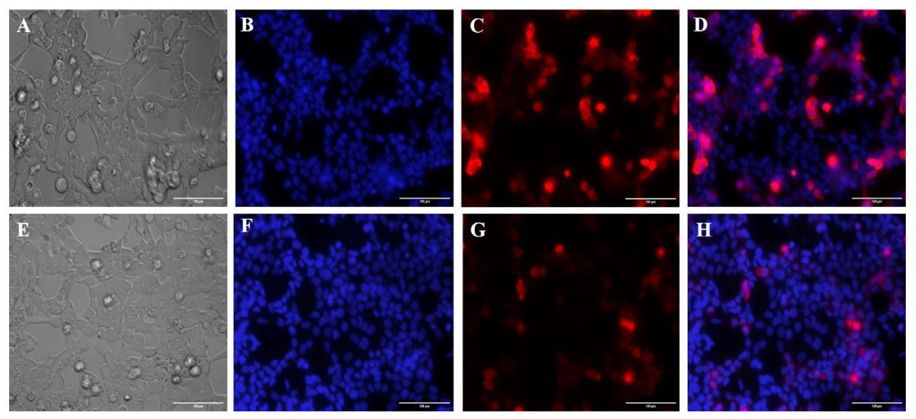 Life 12 00022 g006 550